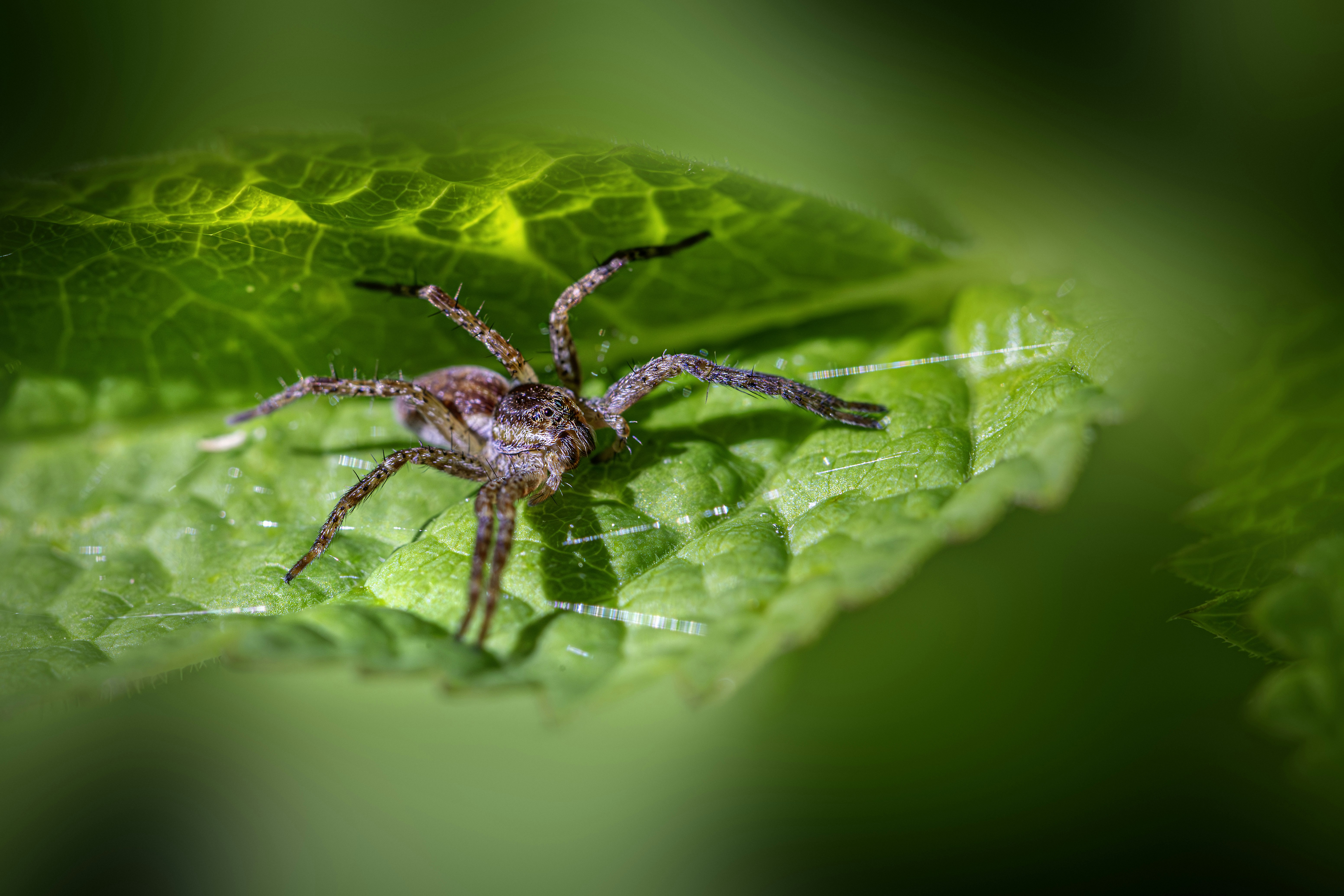 Photo by erik_karits