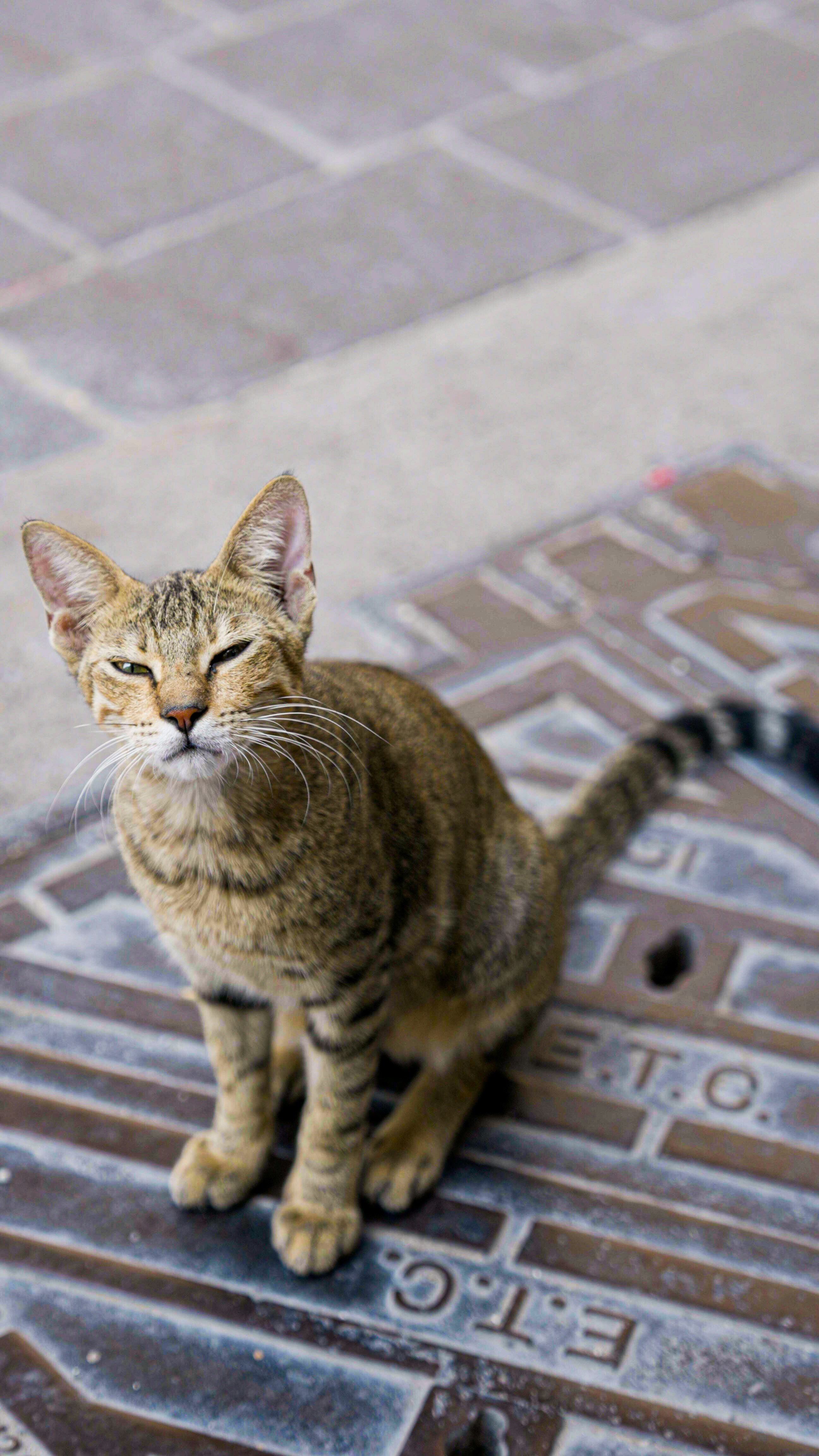 Photo by luanfonsecavisuals