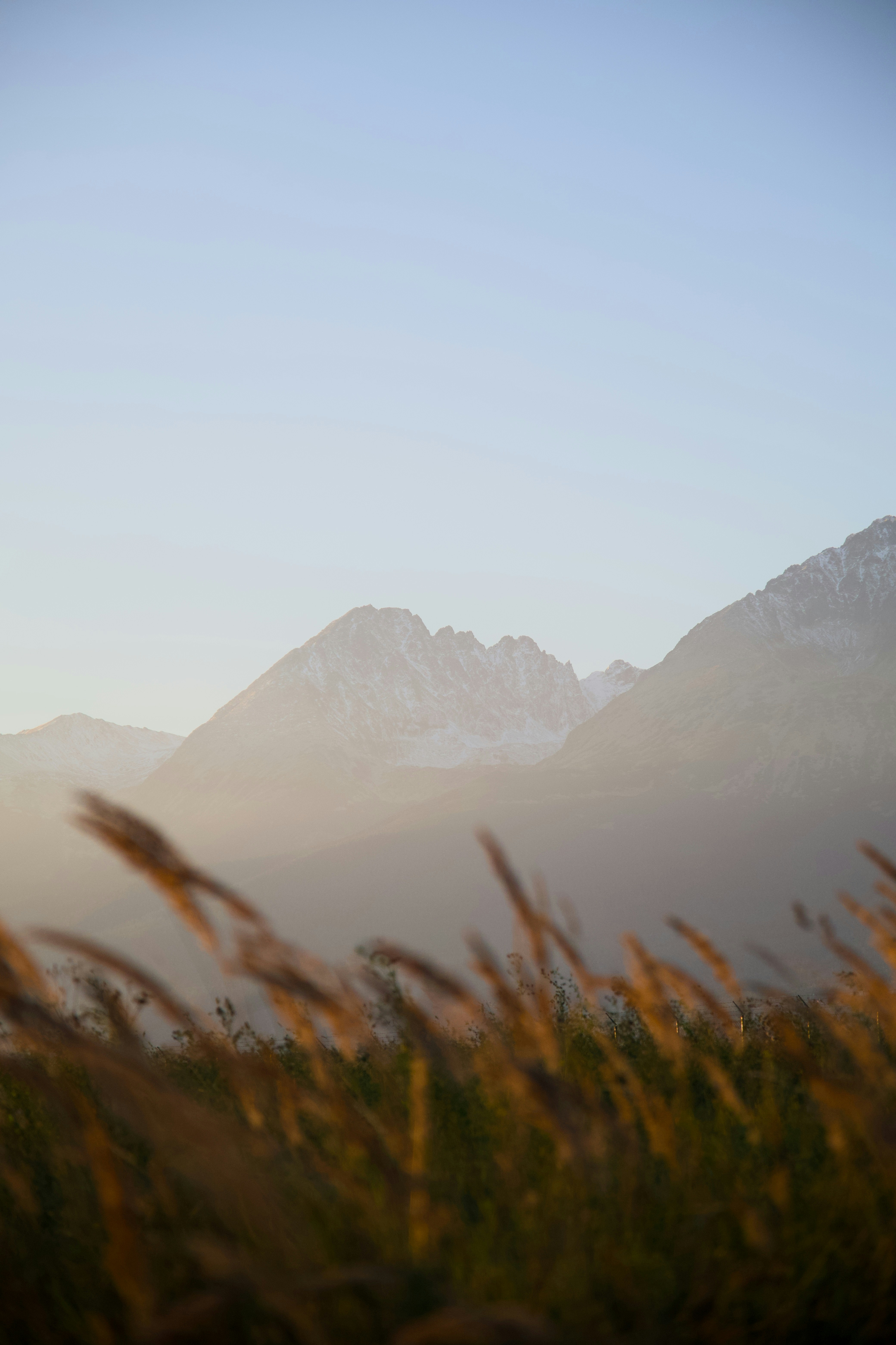 Photo by adamhornyak