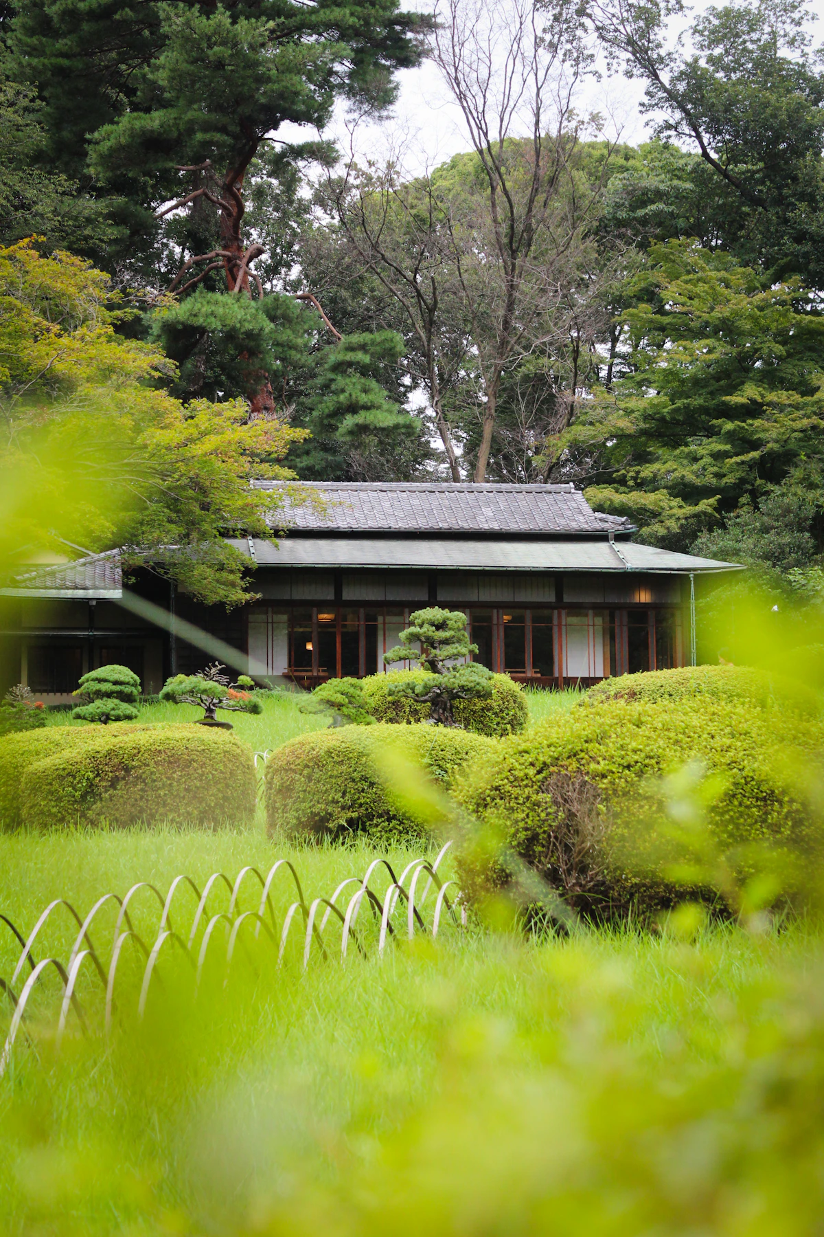 A traditional Japanese house surrounded by a lush green garden