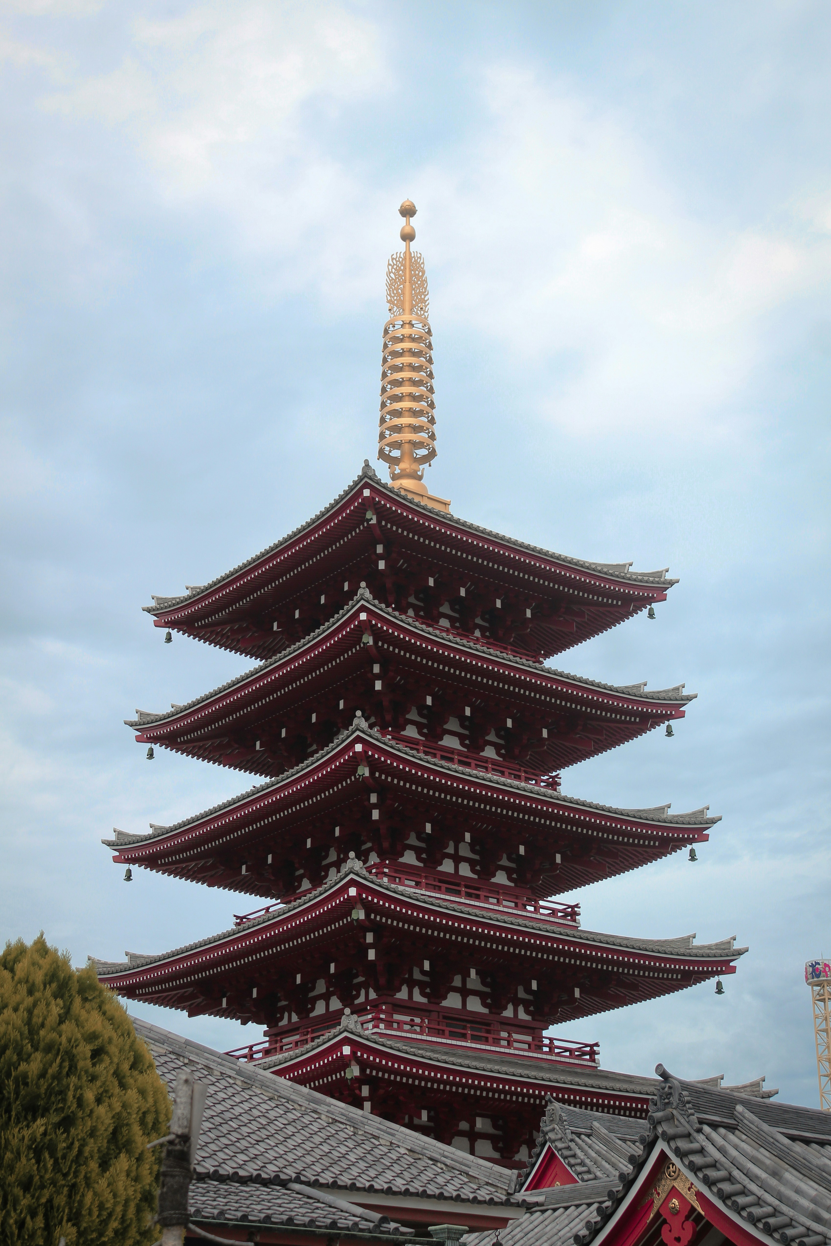 Photo by nicolafittipaldi