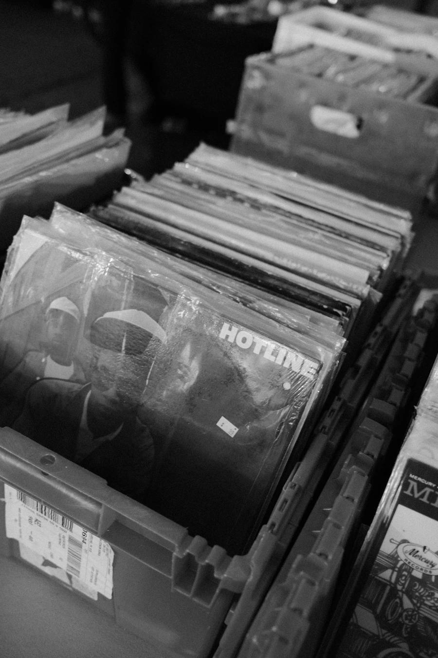 Rangées de vinyles dans leurs pochettes plastique protectrices
