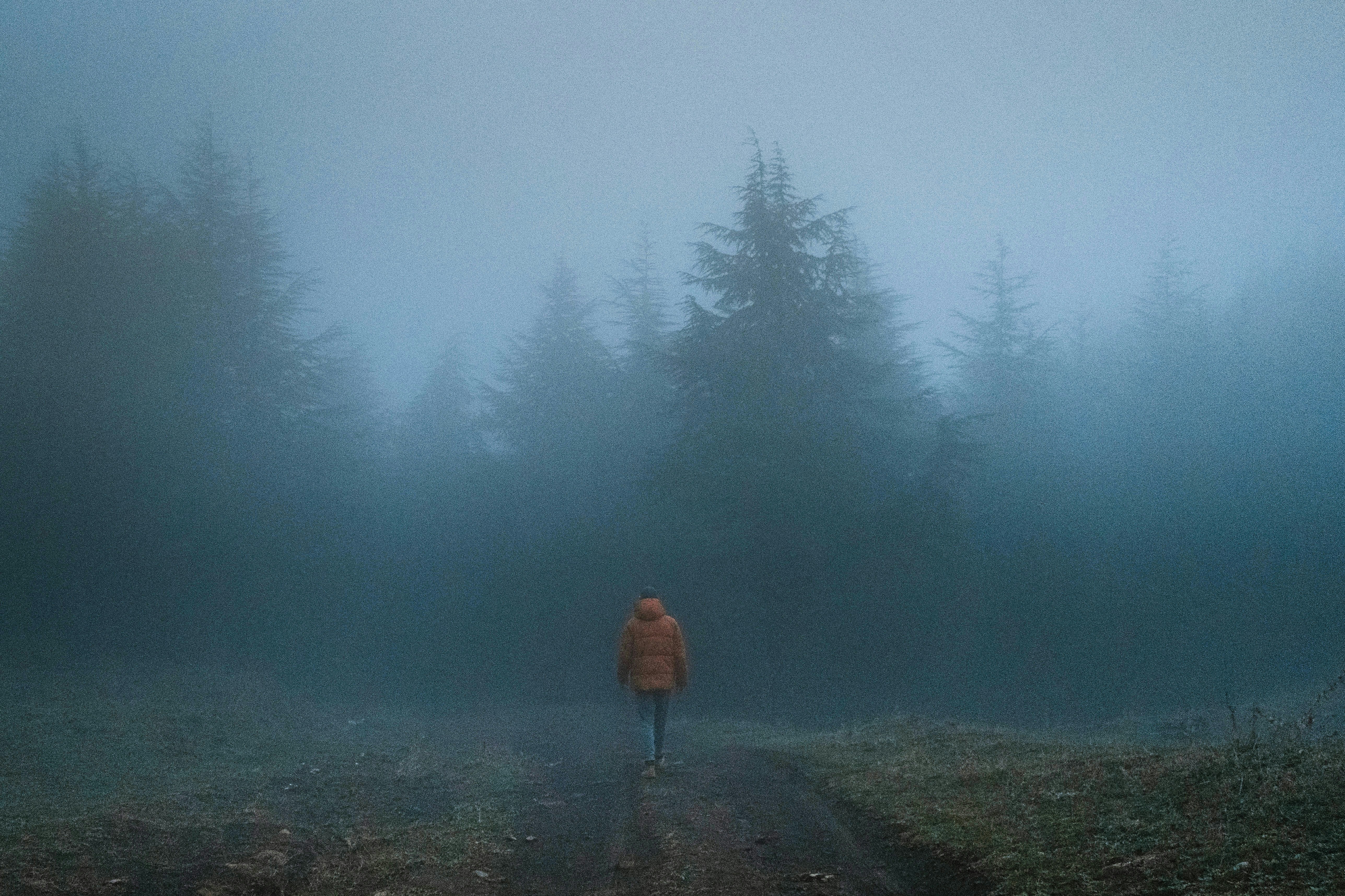 Seasonal Steals: Best Dollar Store Finds for Holiday Parties