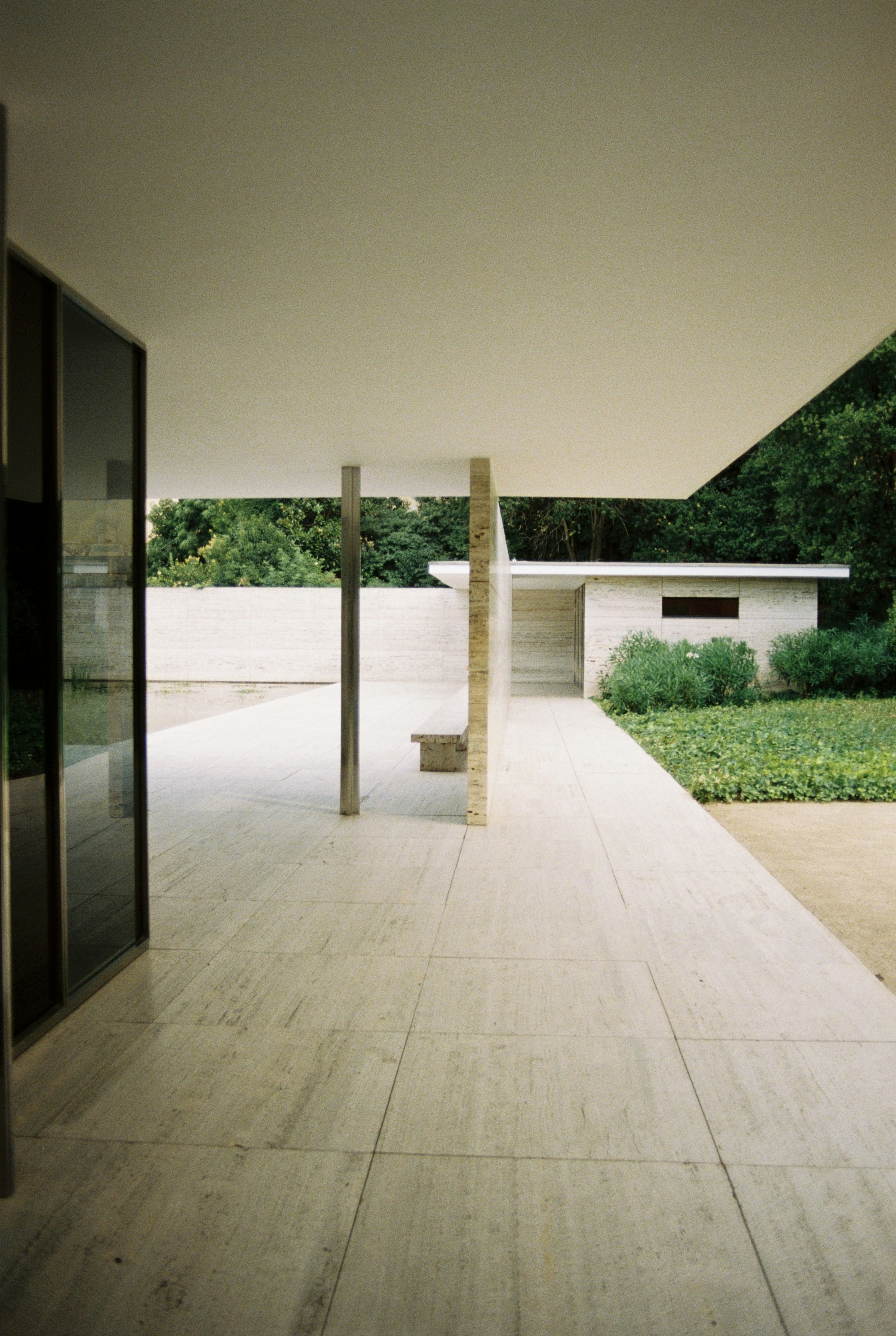 Photo by carlos_graham