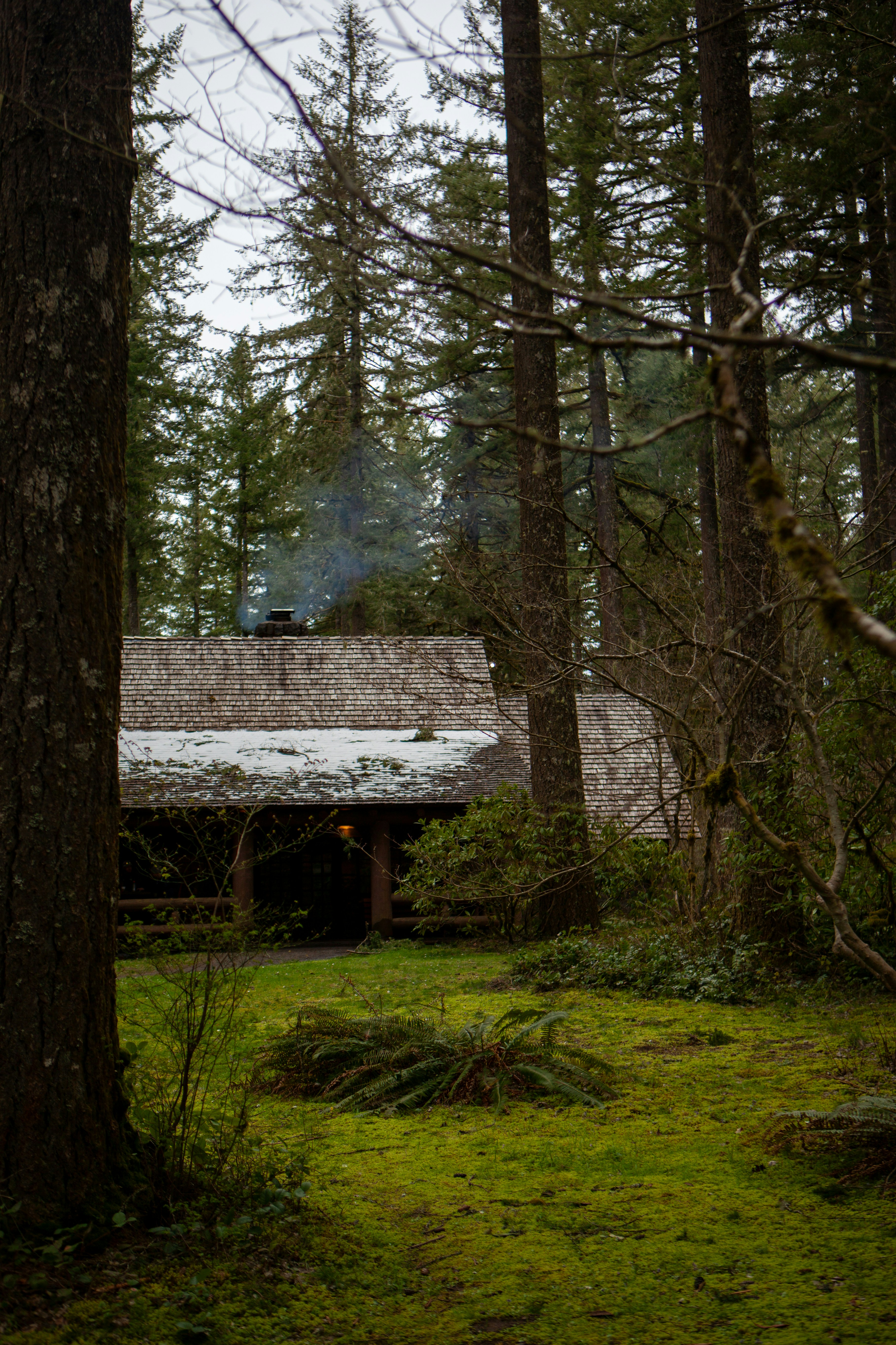 rustic wood smoke, wallpaper, How to Smoke Meat in the Wilderness 5