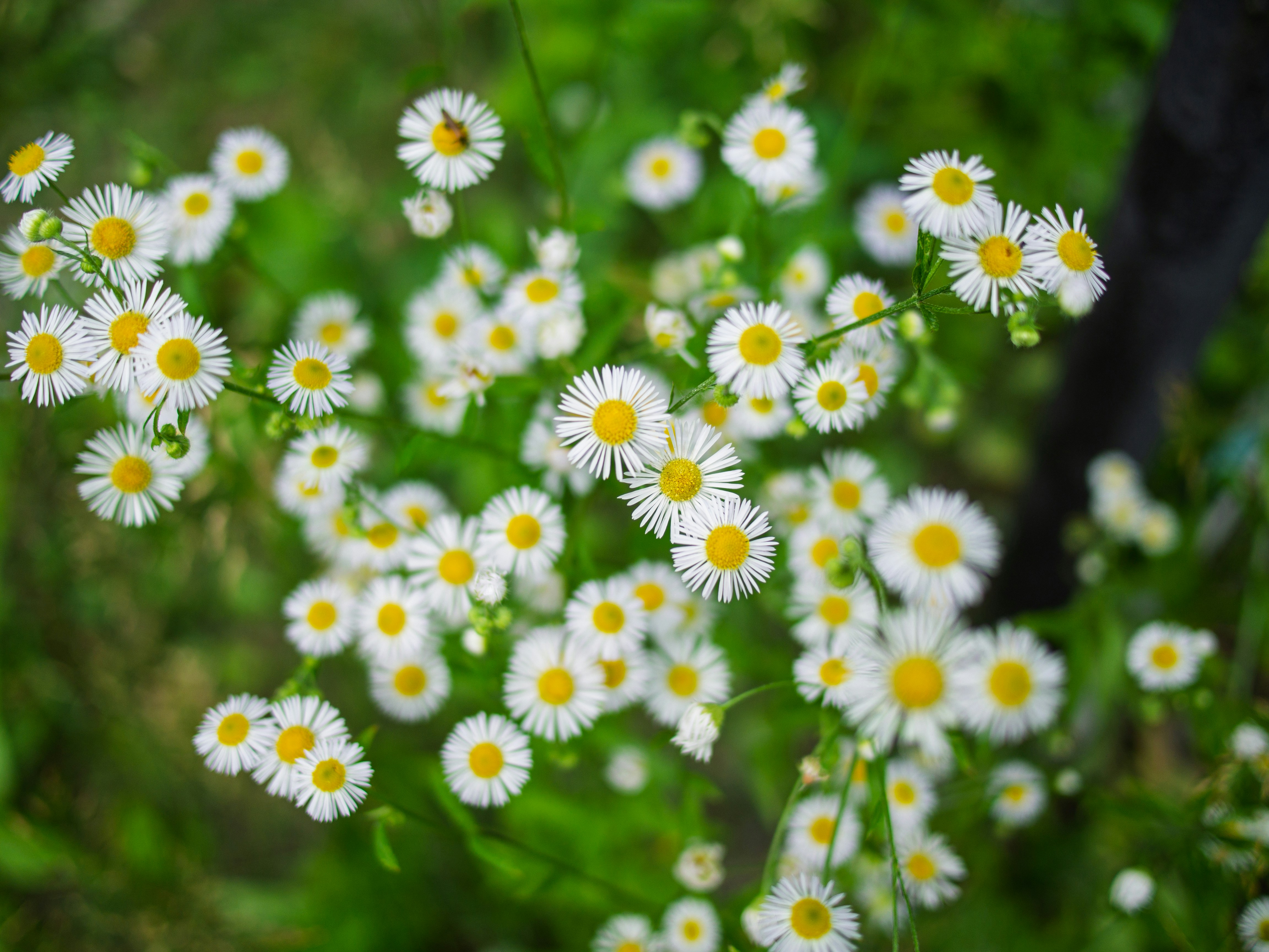 Photo by cameraobscura2000