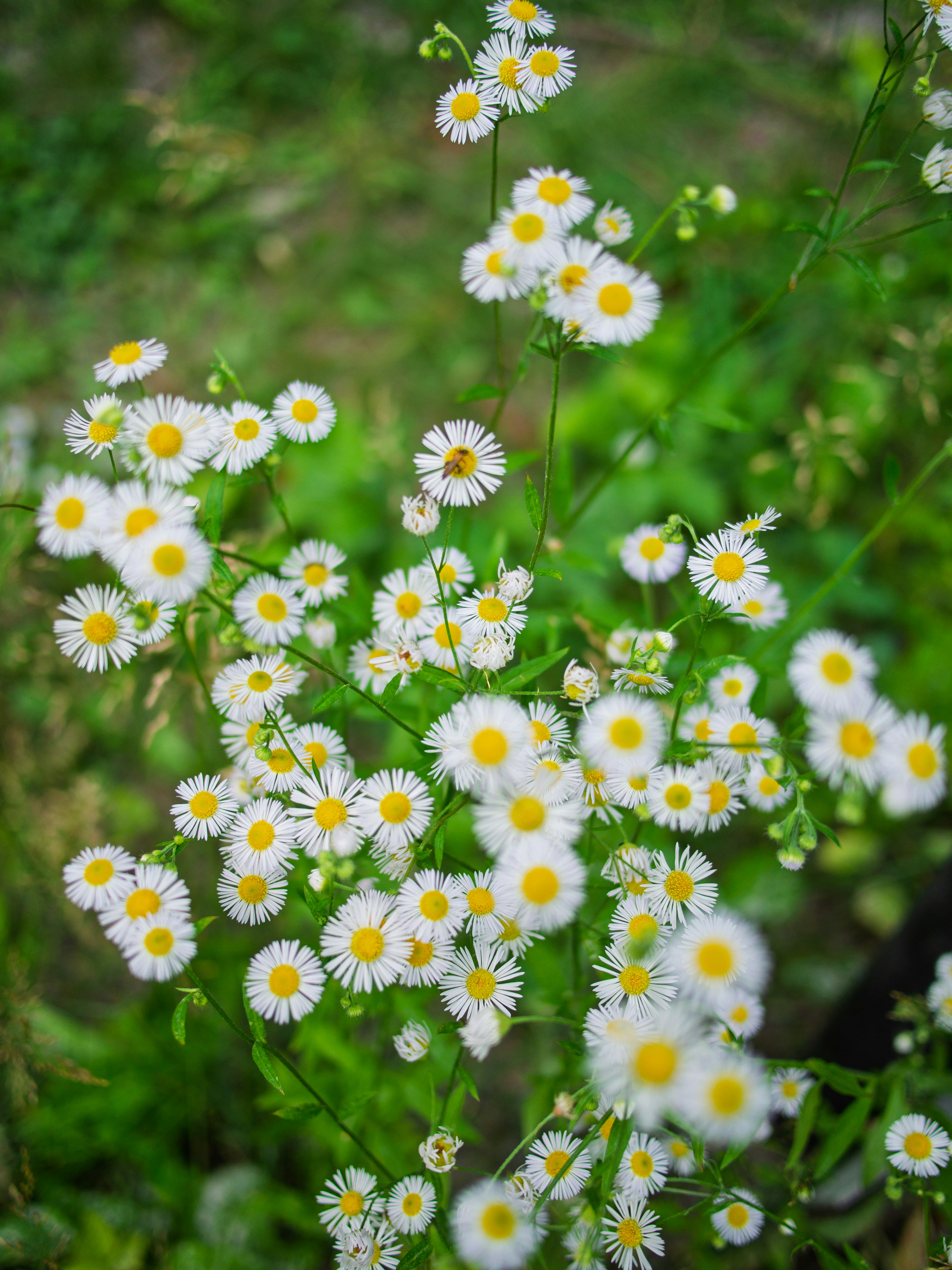 Photo by cameraobscura2000