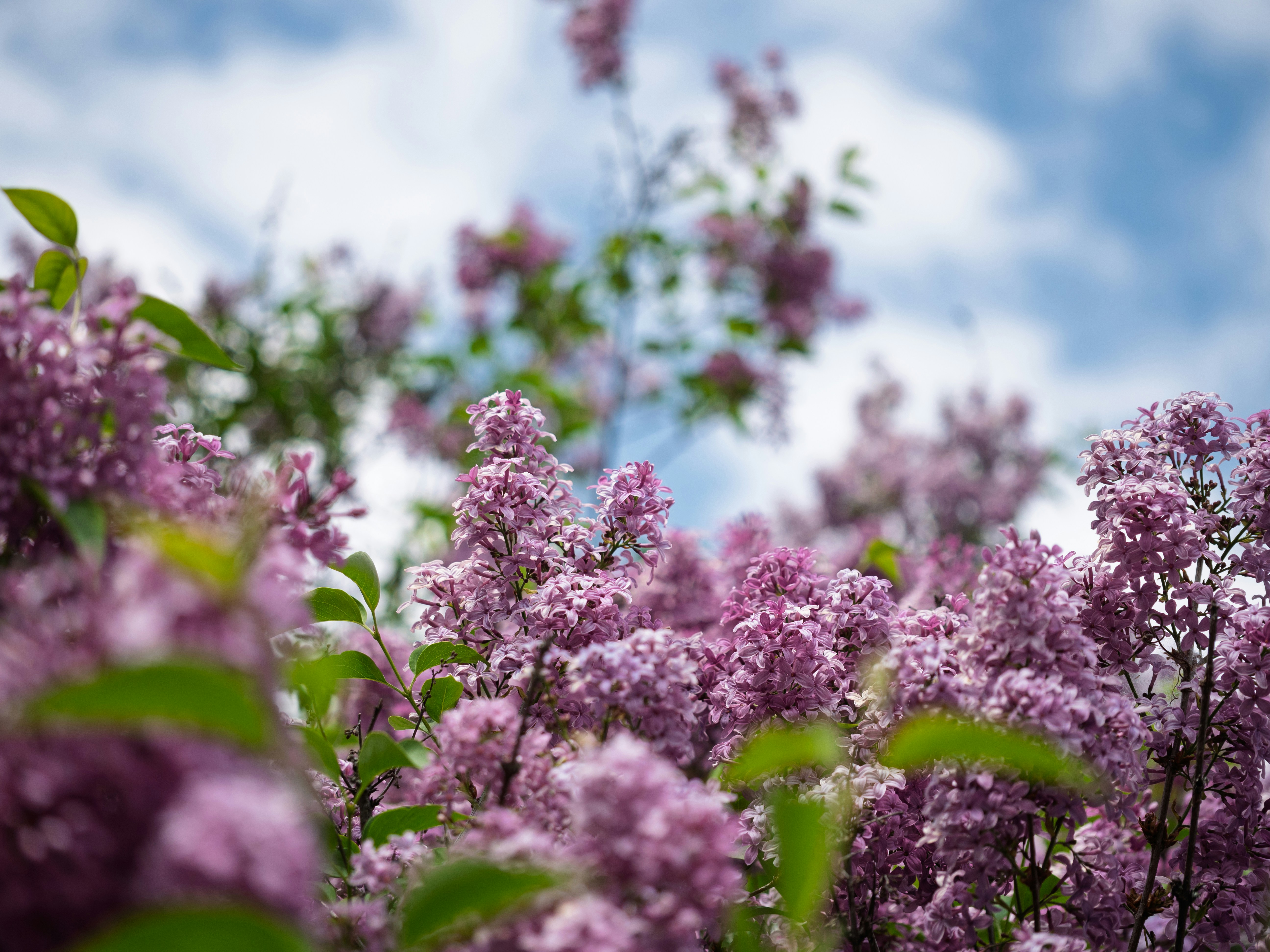 Photo by cameraobscura2000