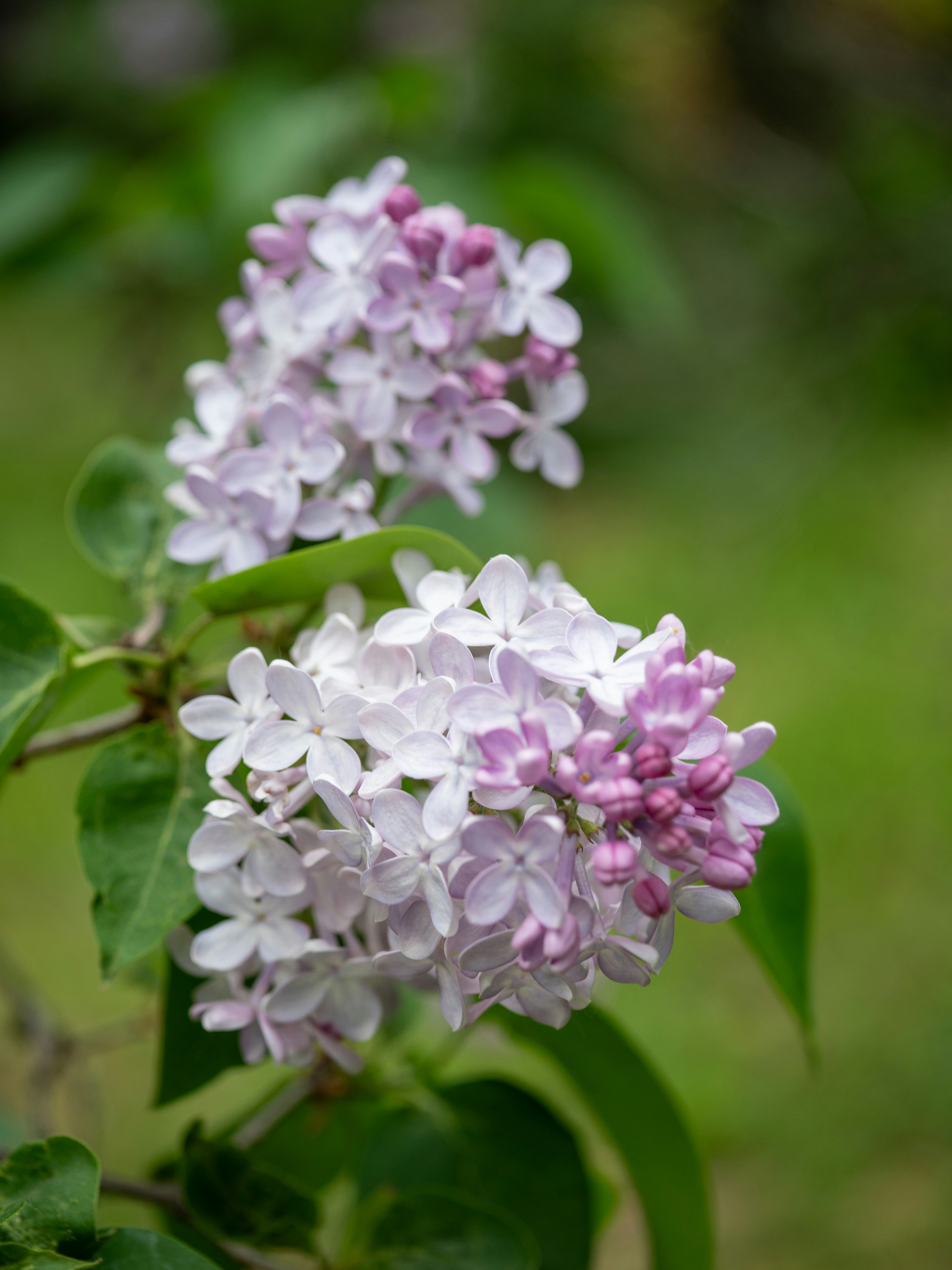 Photo by cameraobscura2000