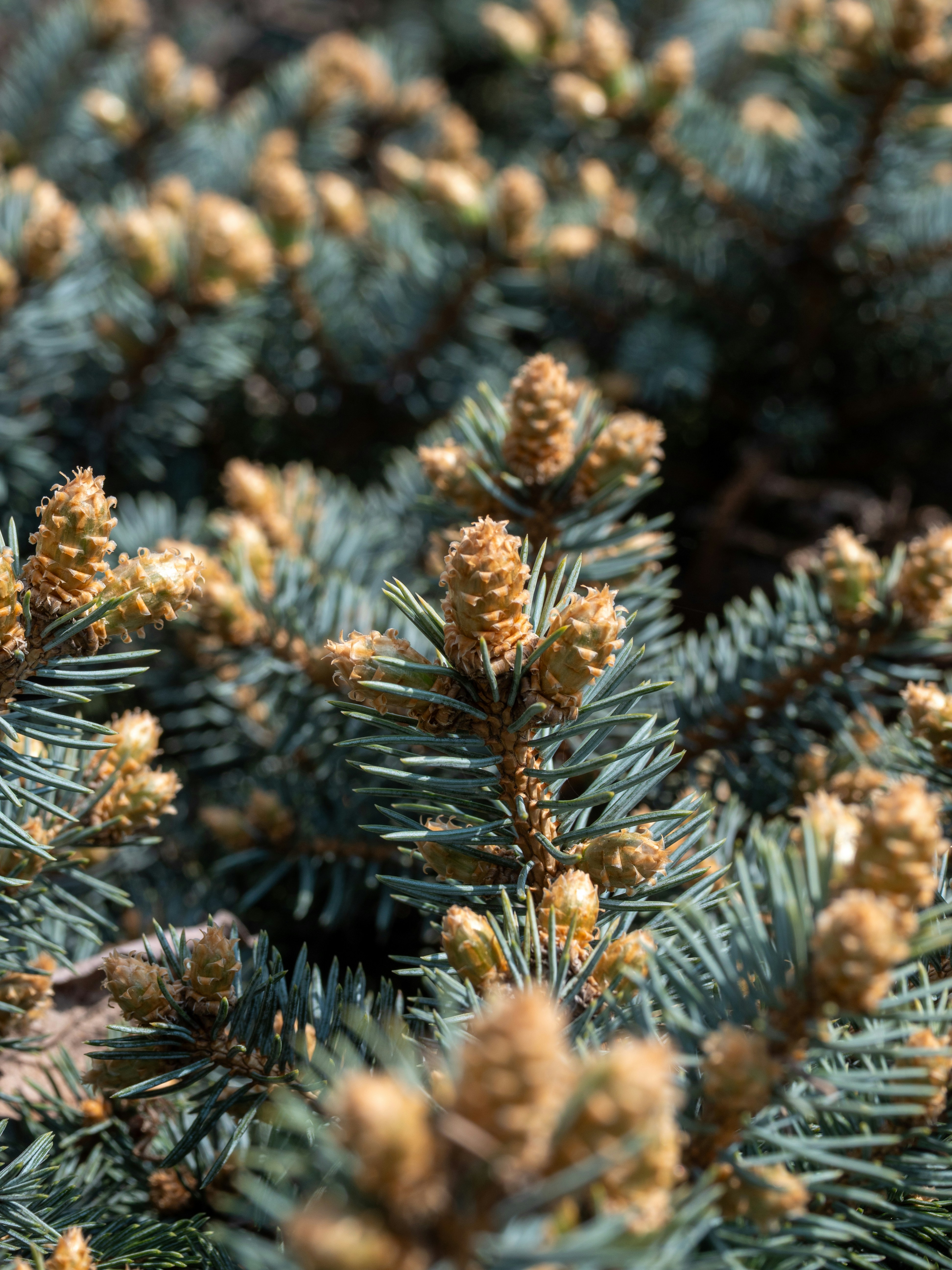 Photo by cameraobscura2000