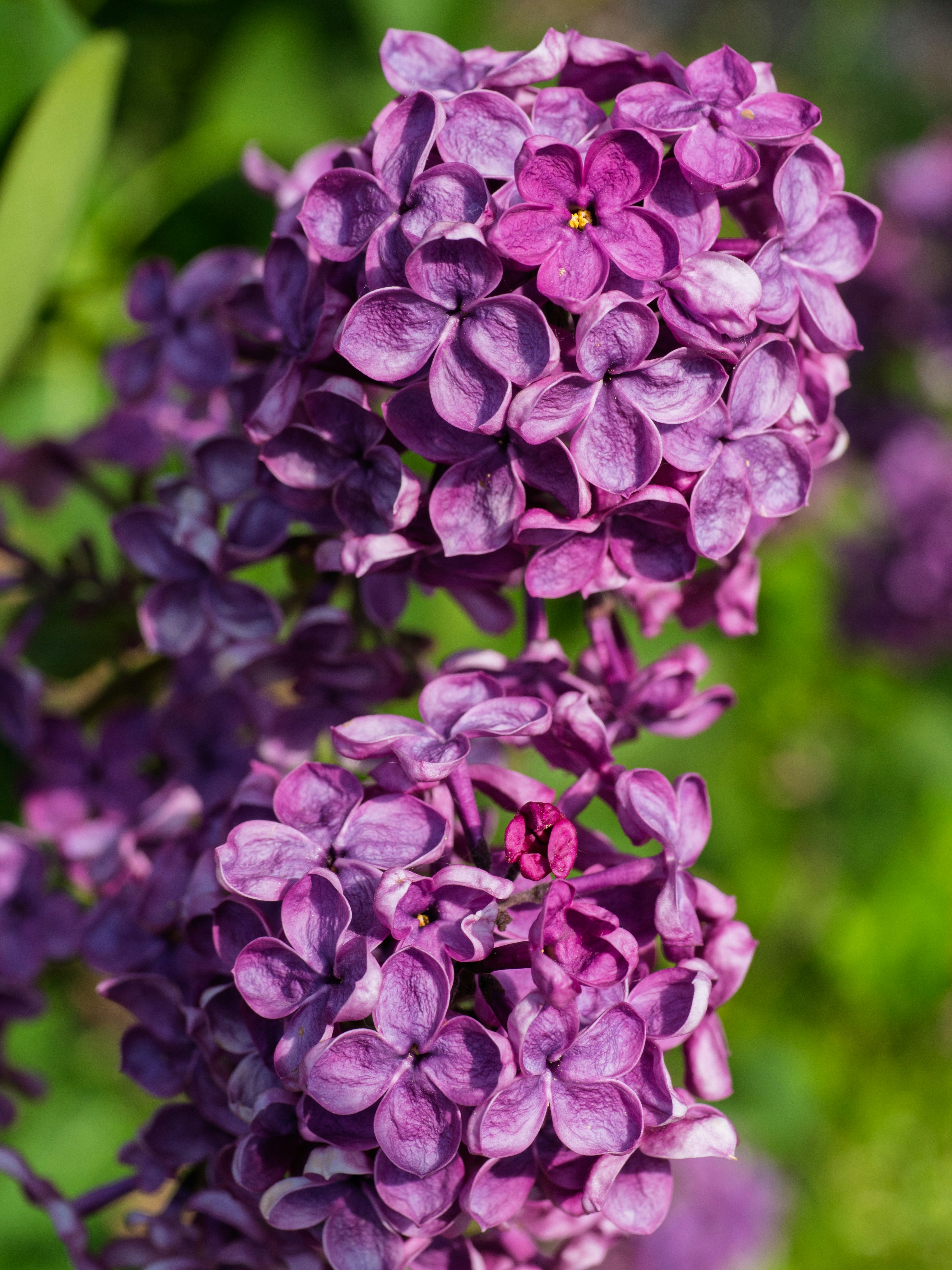 Photo by cameraobscura2000