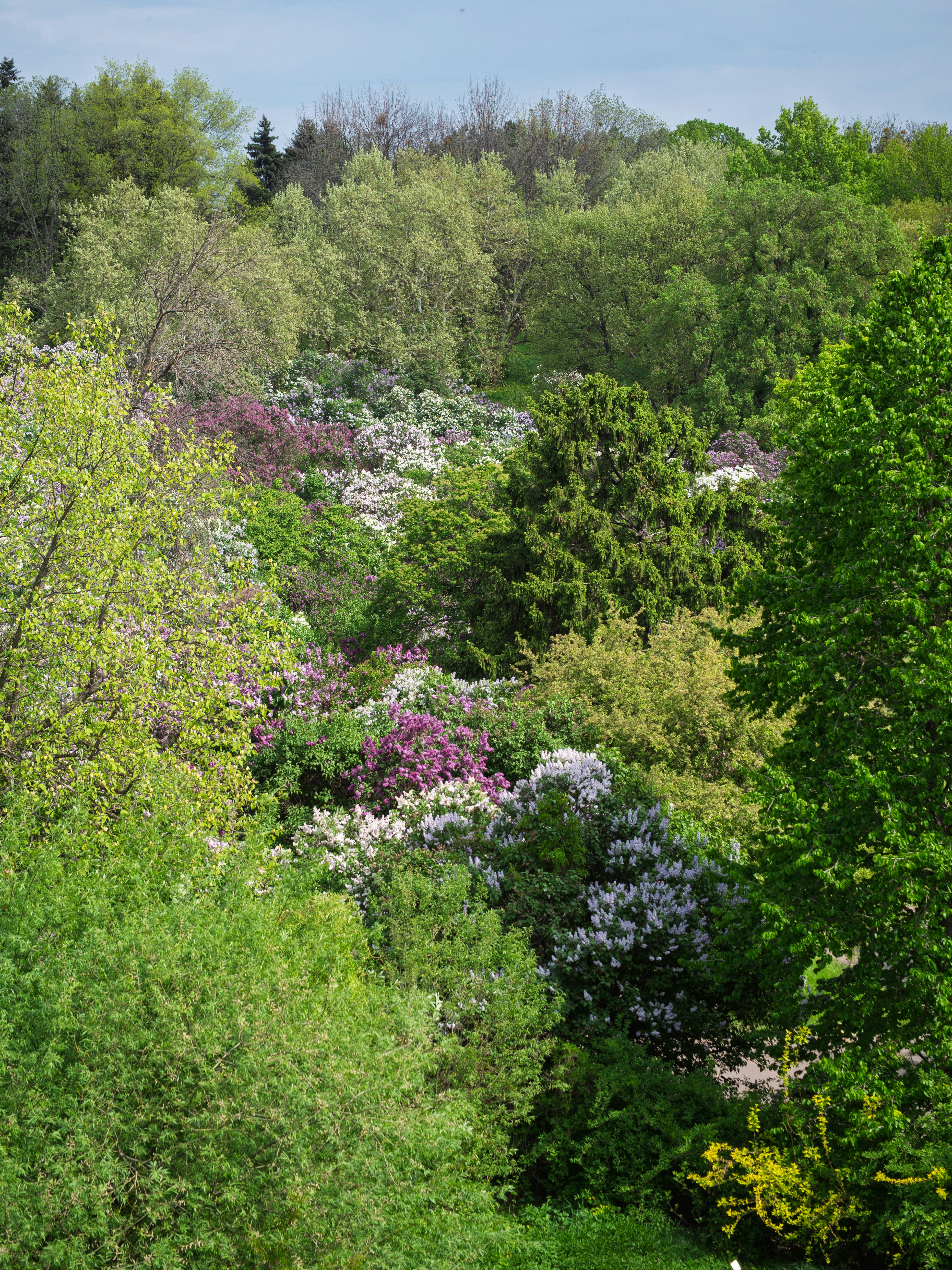 Photo by cameraobscura2000