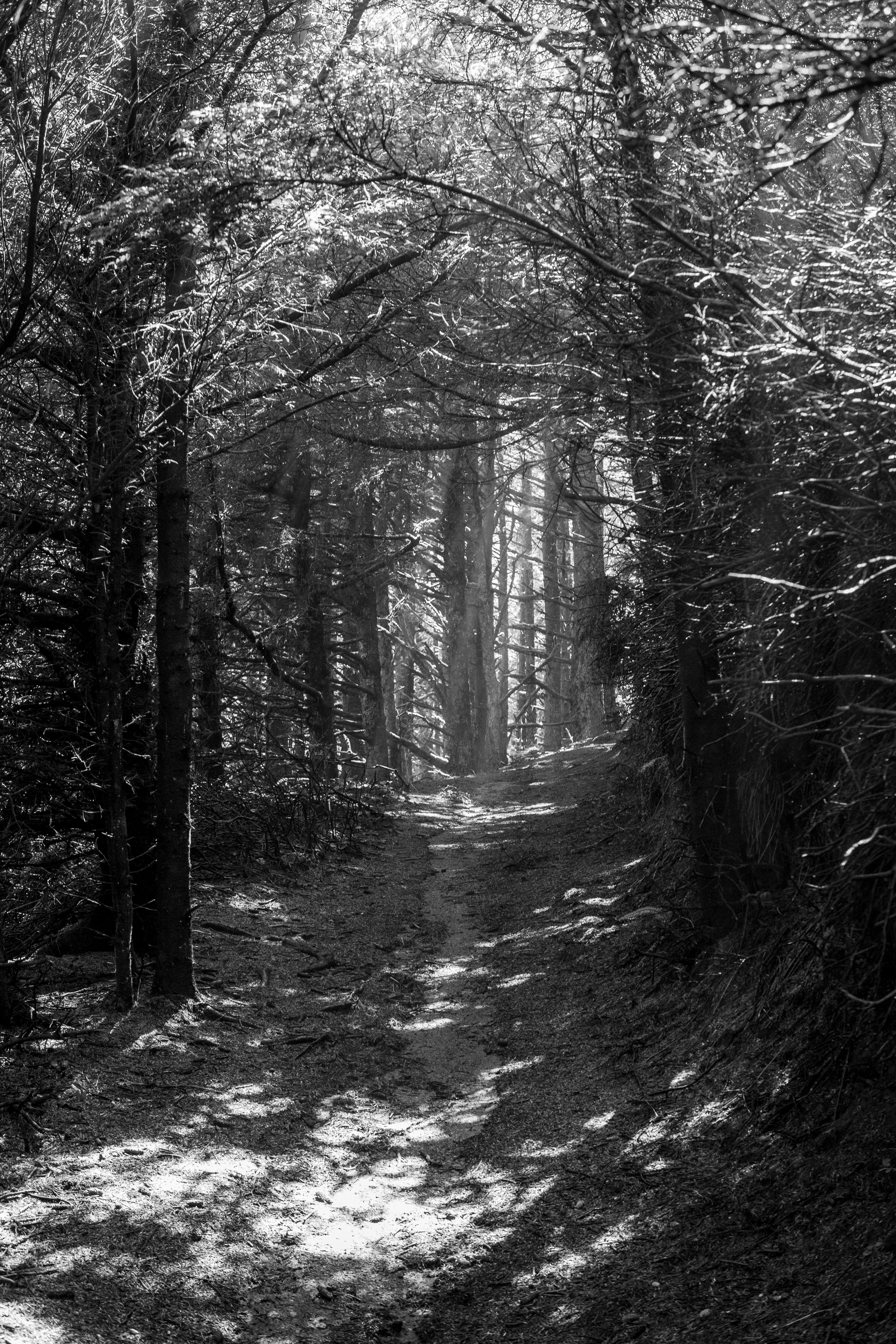 Photo by martin_collet