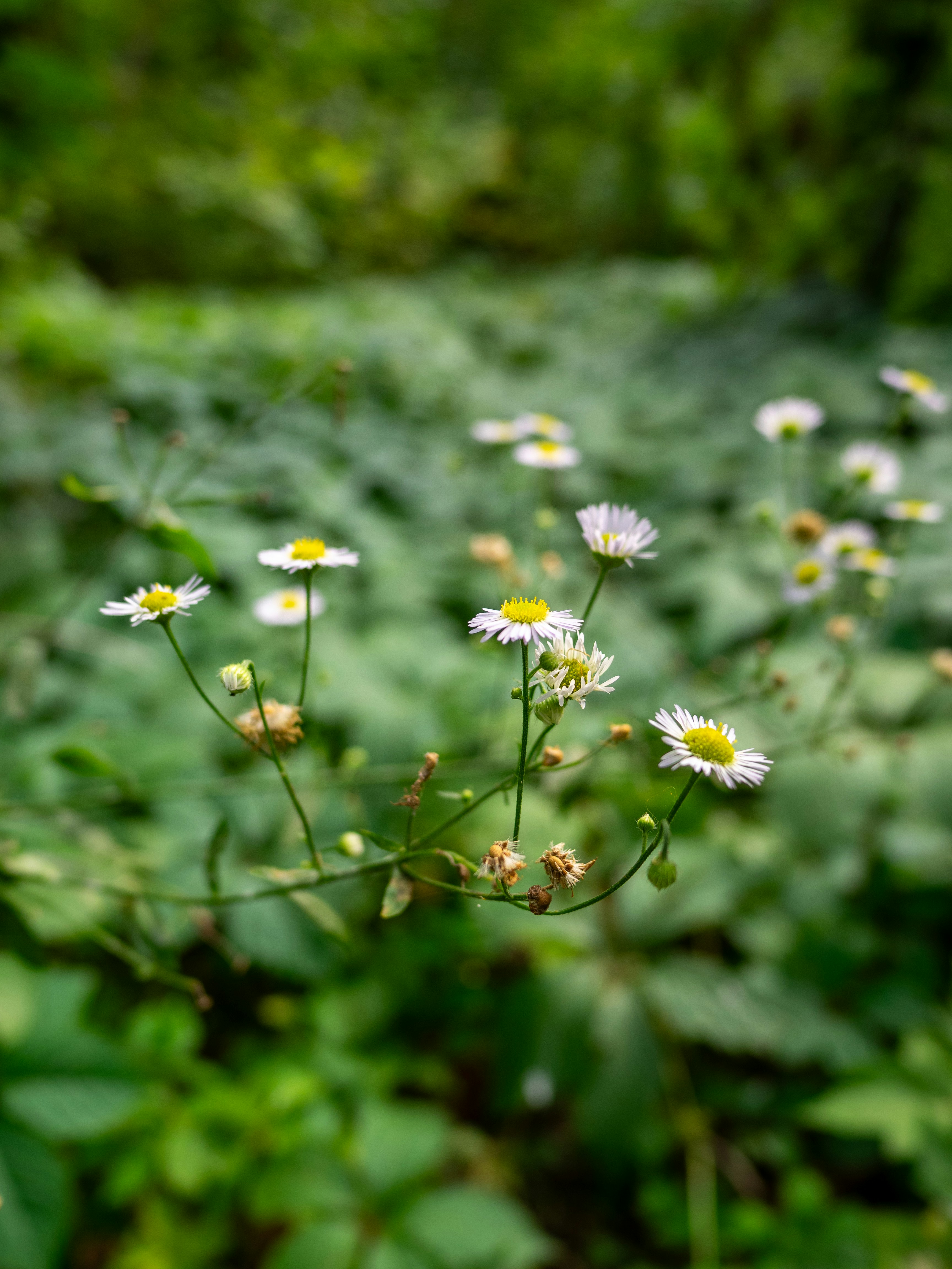 Photo by cameraobscura2000