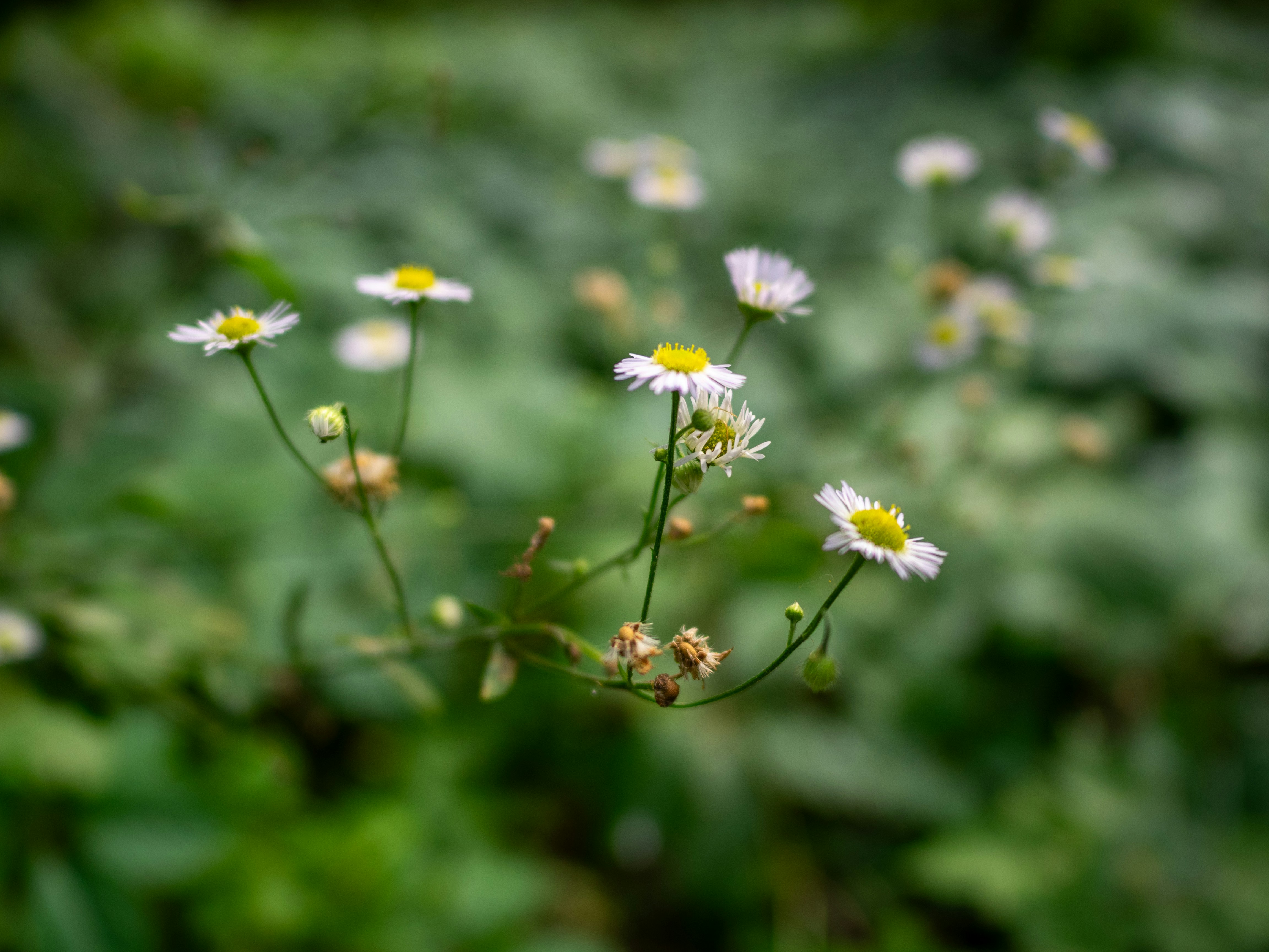 Photo by cameraobscura2000