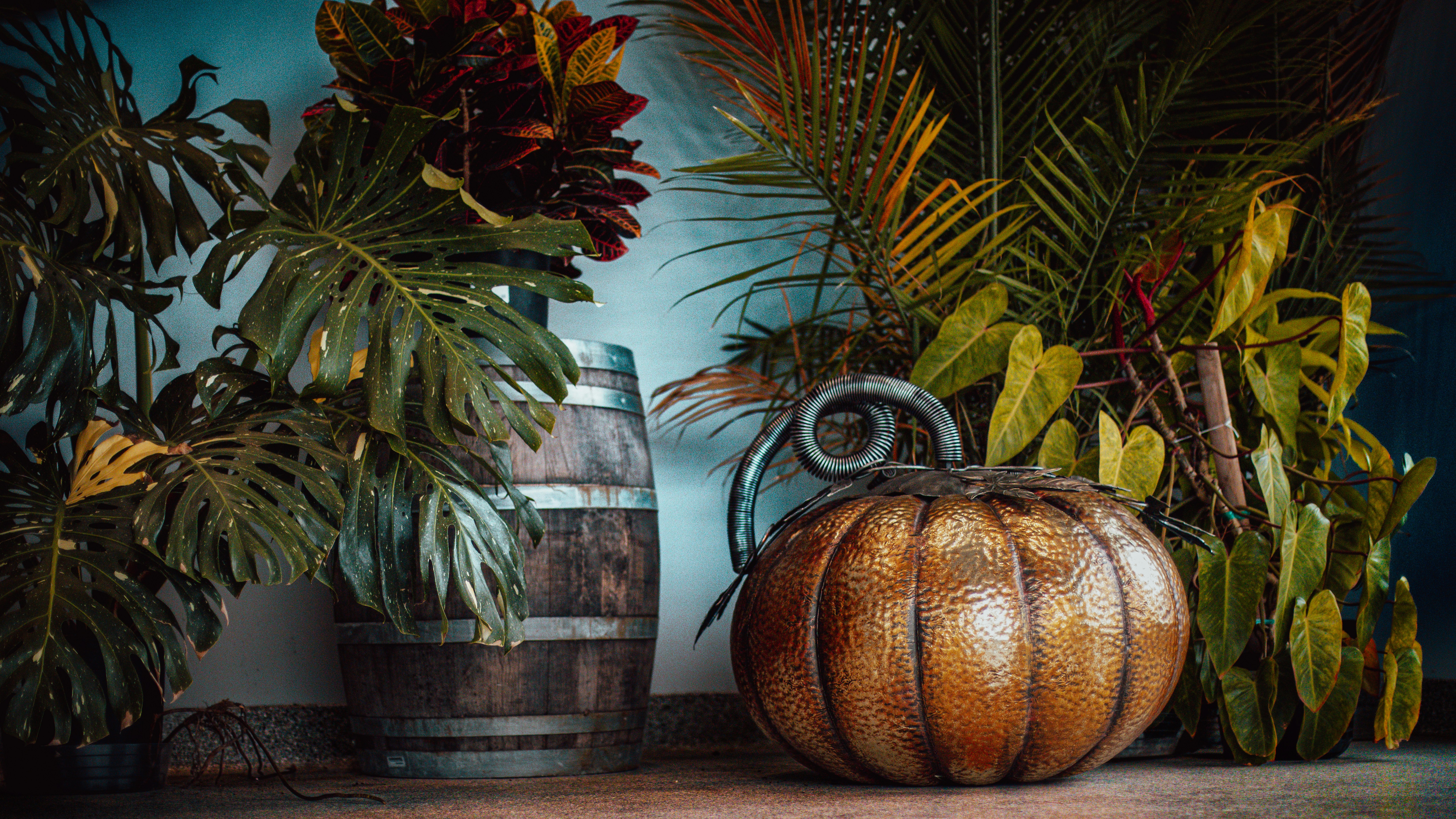 A carved pumpkin sits beside a wooden barrel and plants.