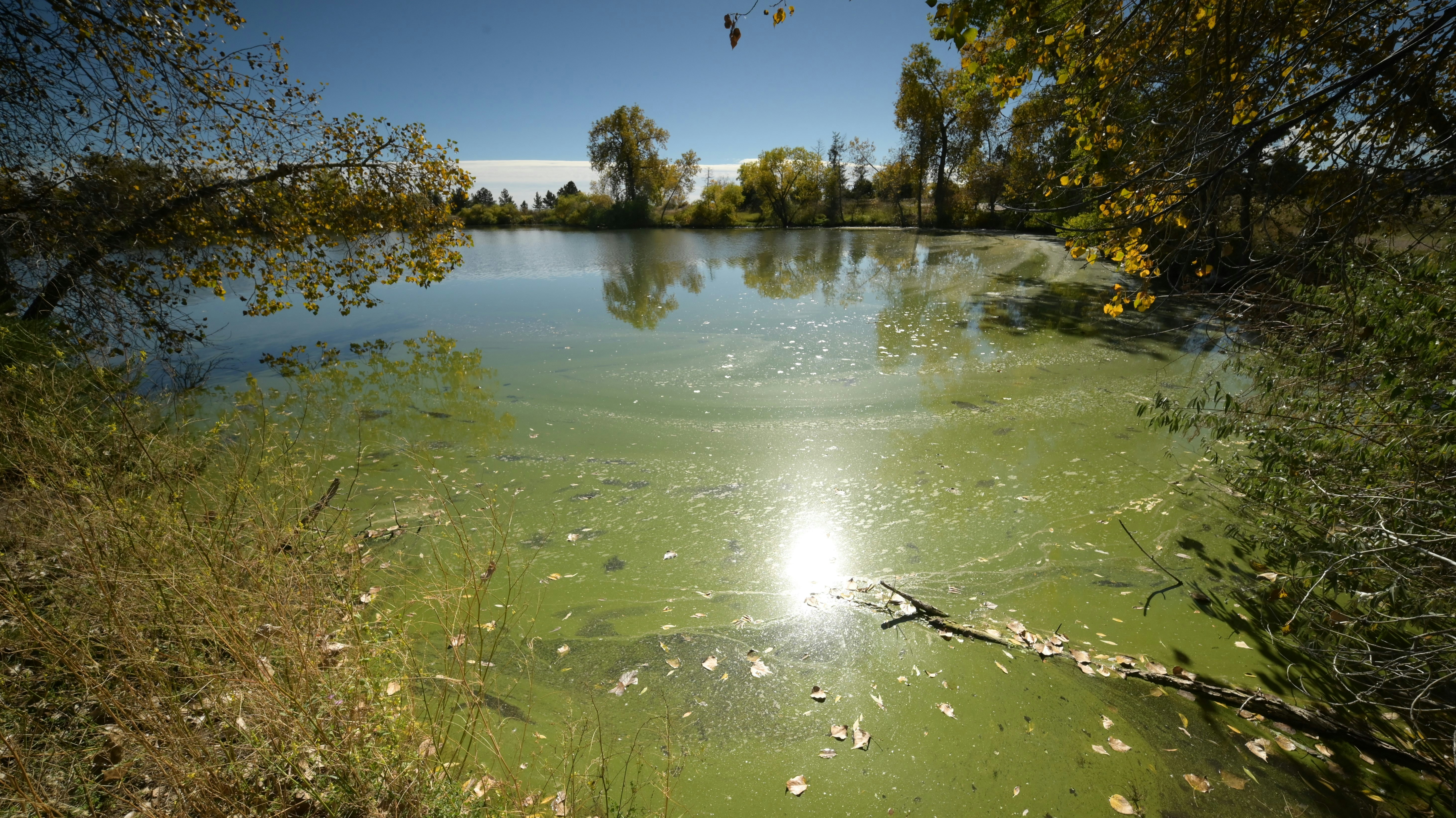 Natural eutrophication lake hi-res stock photography and images - Alamy, image size:3000x1687