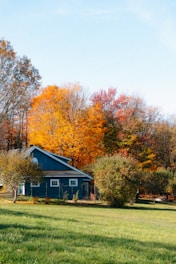 Blue house surrounded by autumn trees in a field.