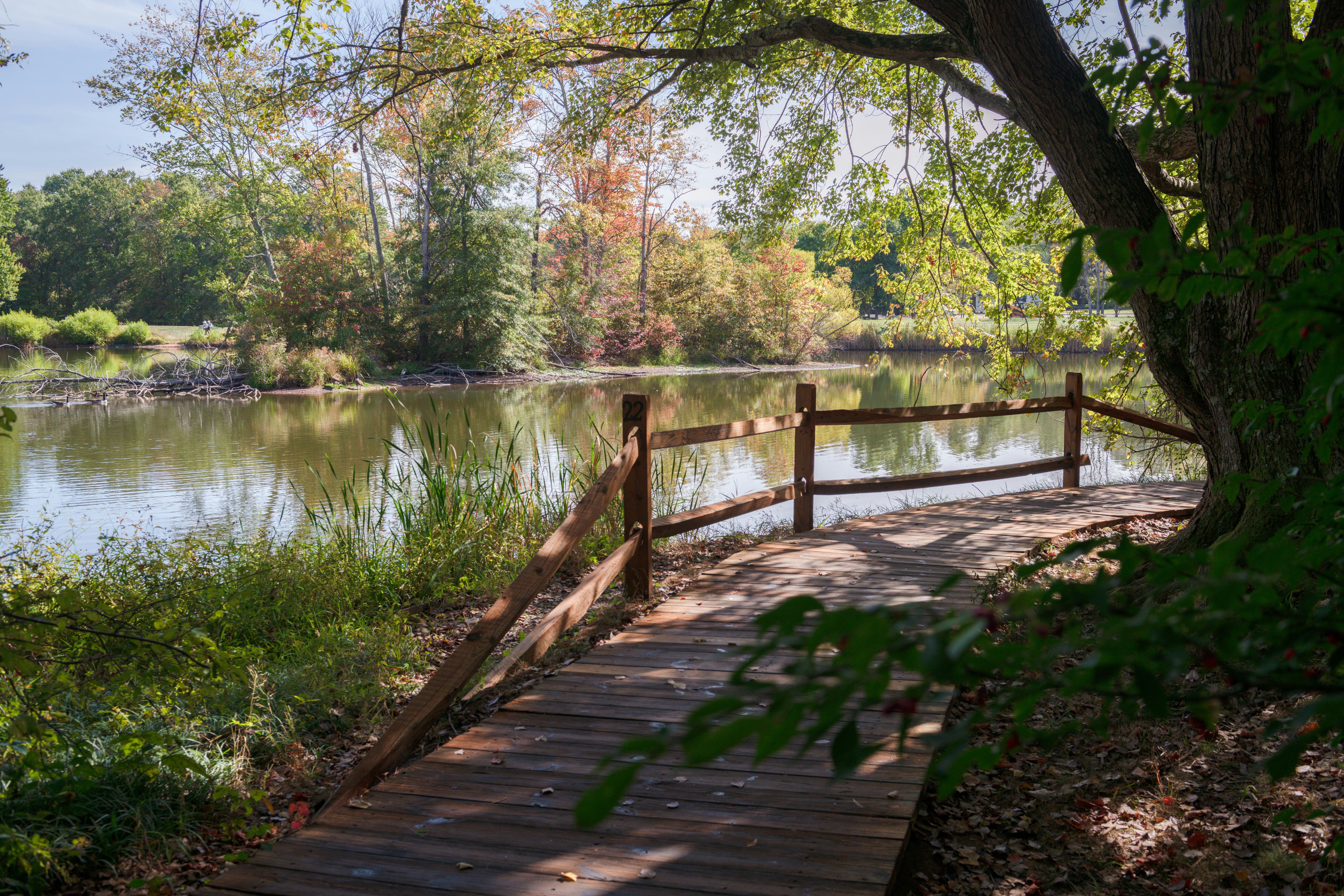 Photo by sriniunsplash