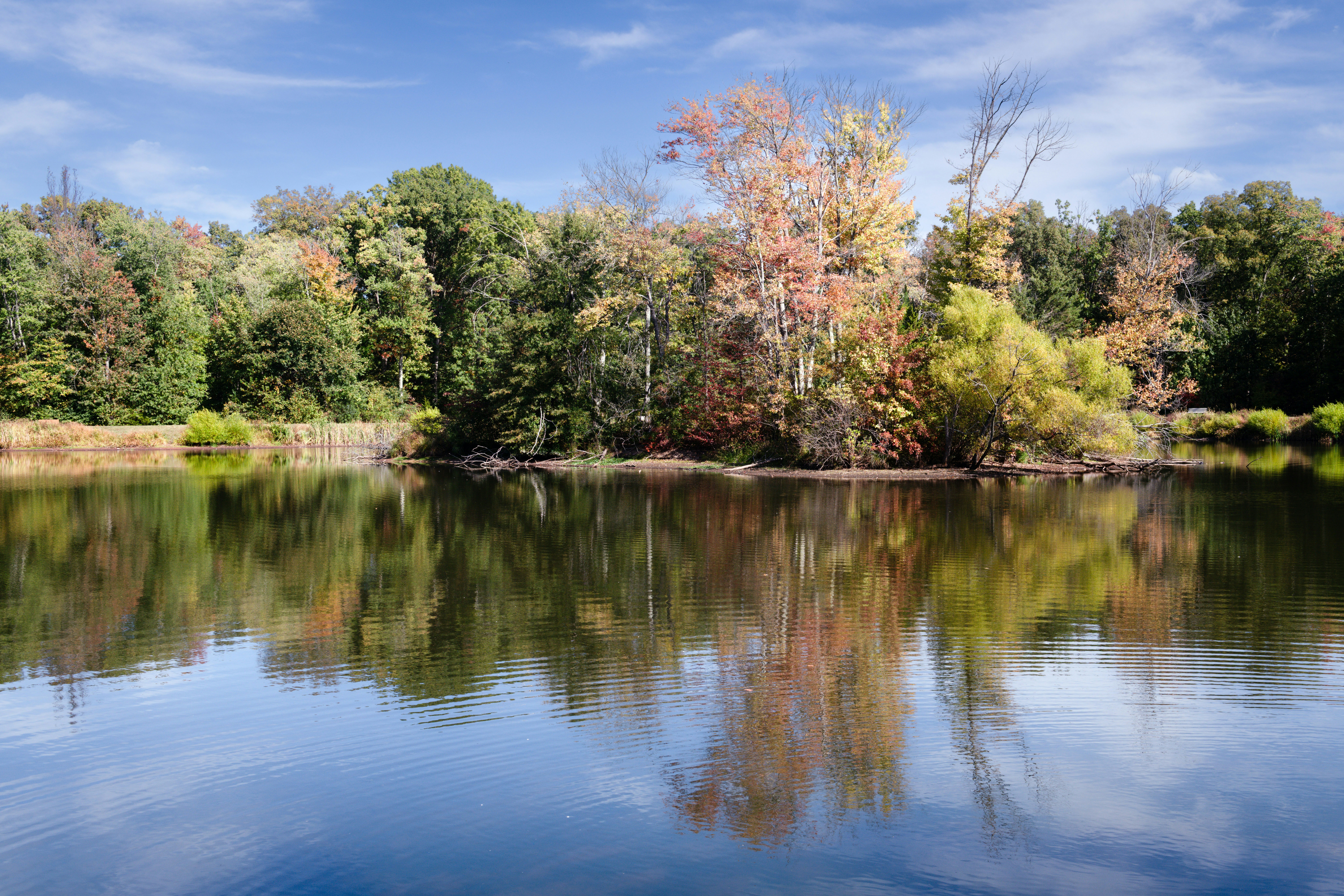 Photo by sriniunsplash