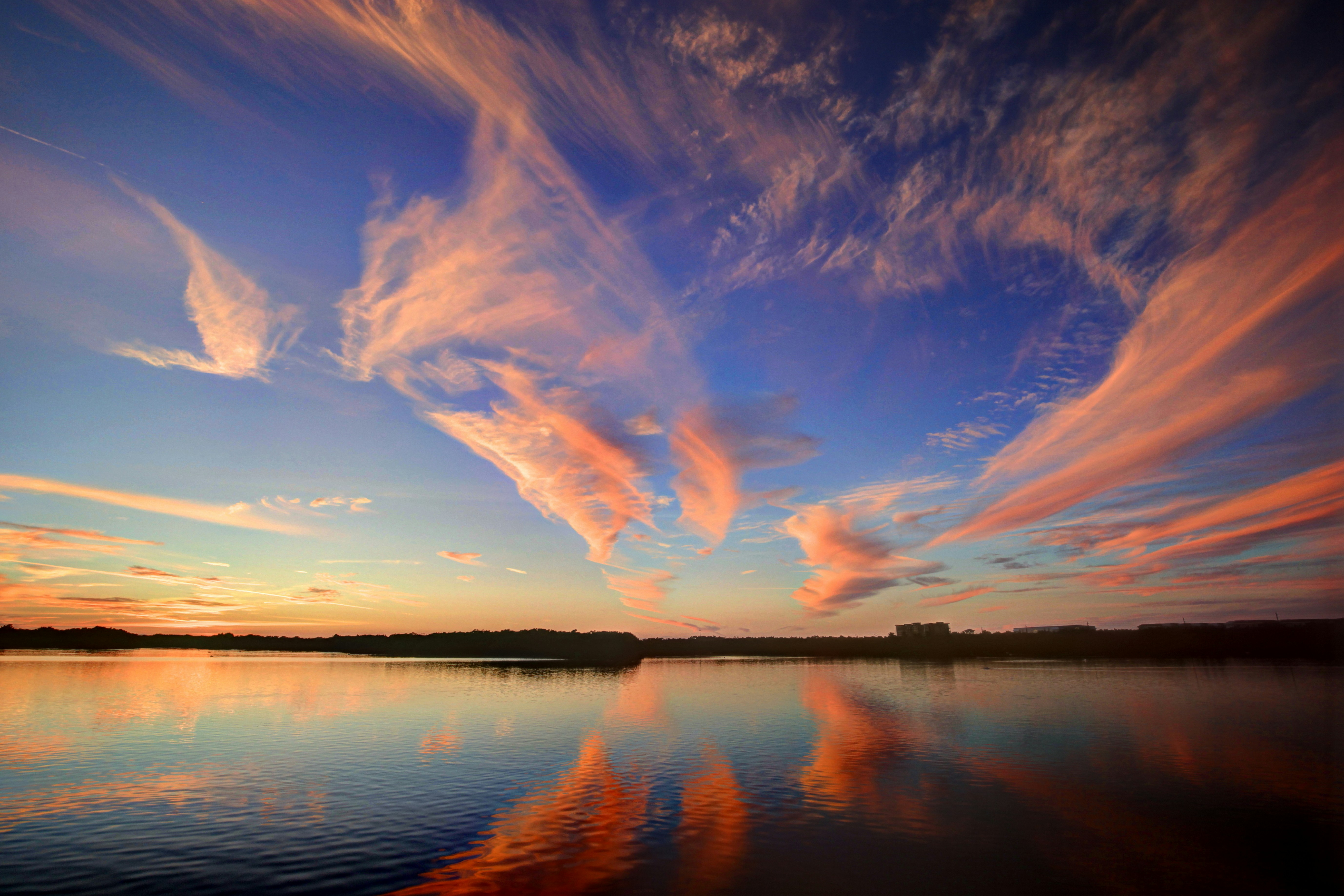 Photo by goldenplover31