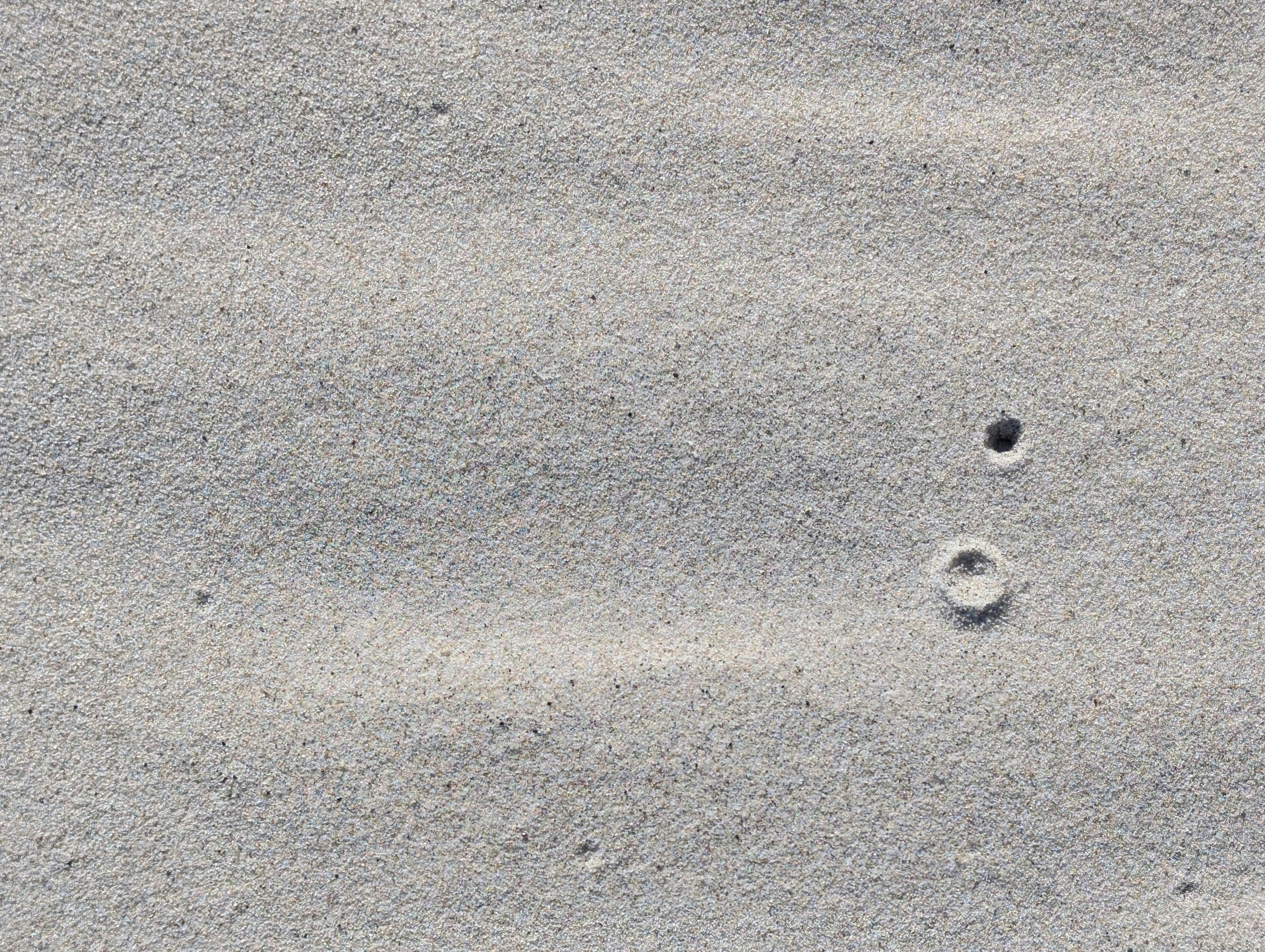 Close-up of rippled sand with two small holes.