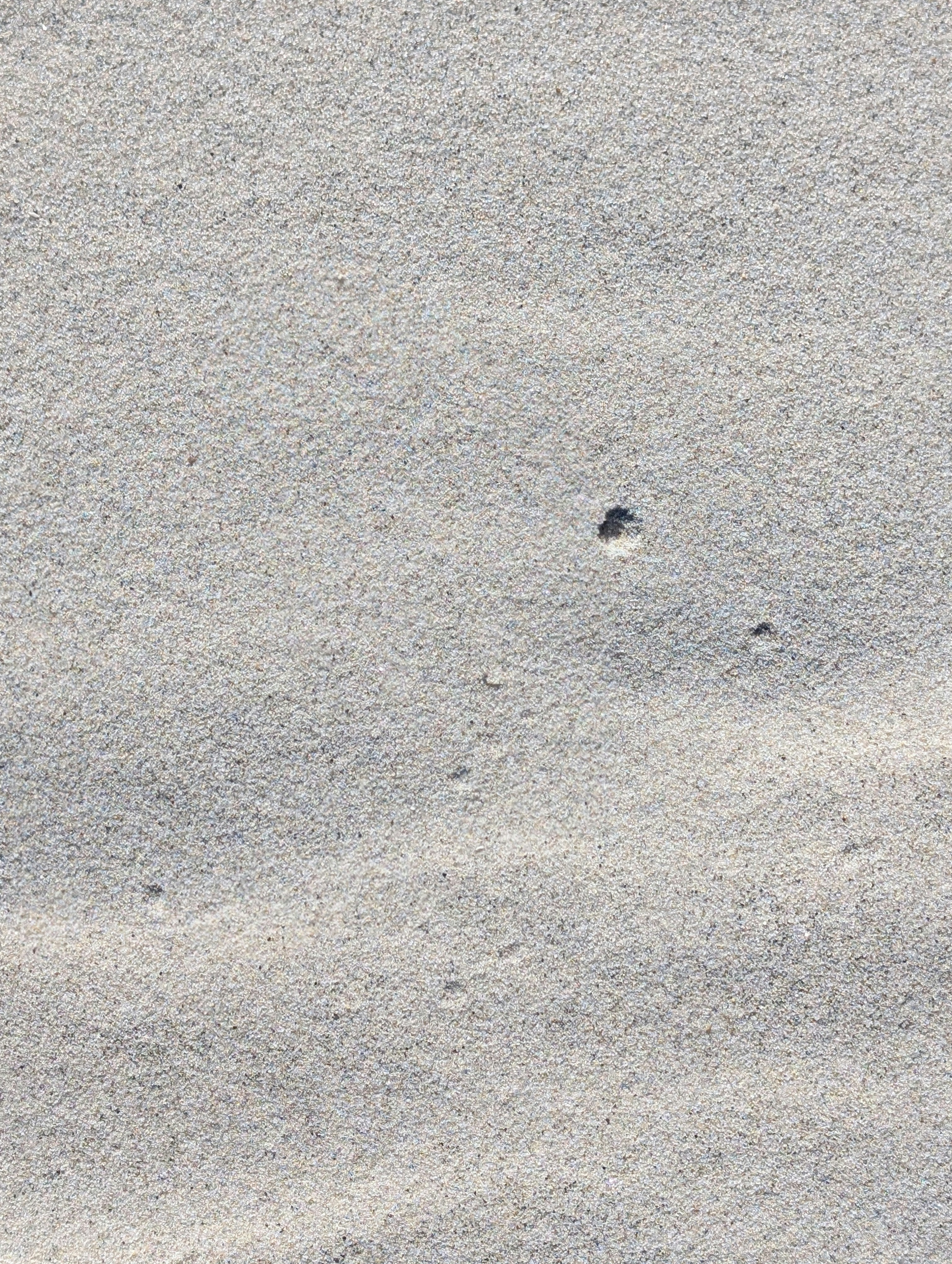 Close-up of fine sand with subtle ripples