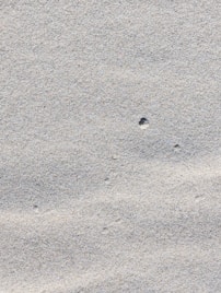 Close-up of fine sand with subtle ripples