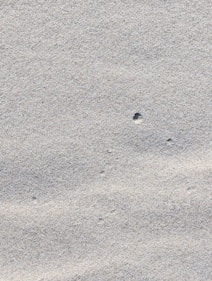 Close-up of fine sand with subtle ripples
