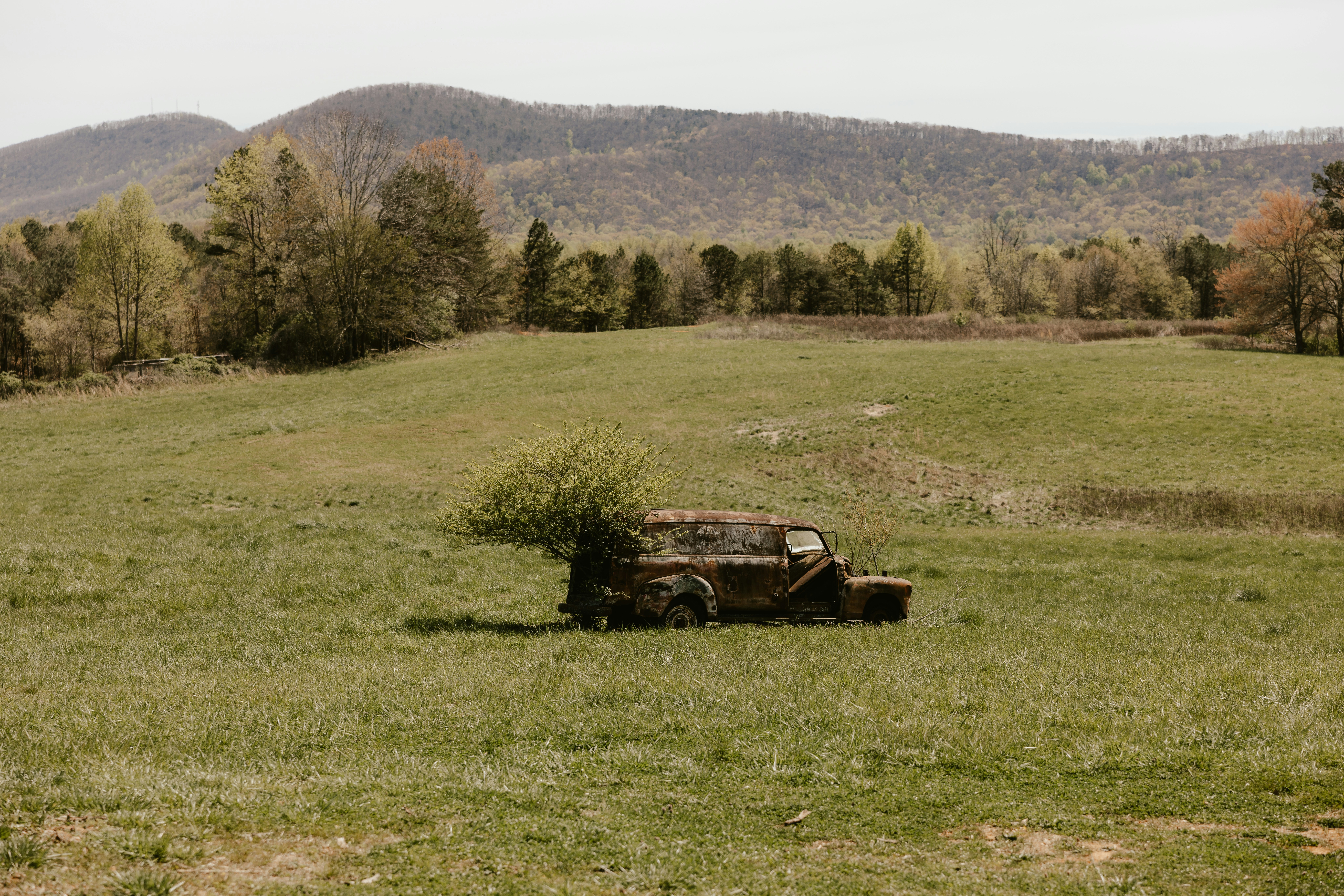 Old rusty car abandoned in a grassy field.