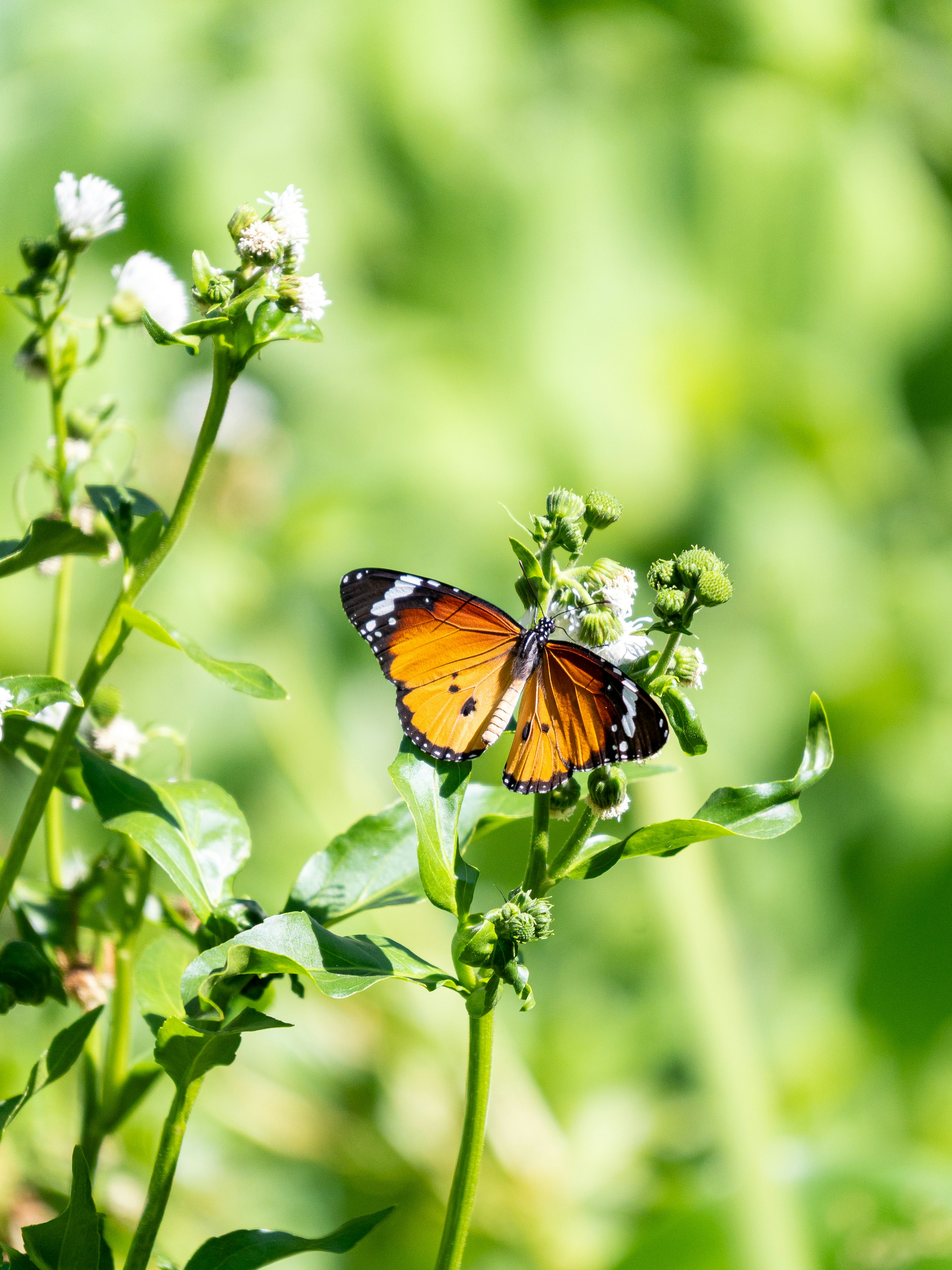 Photo by winstonchen