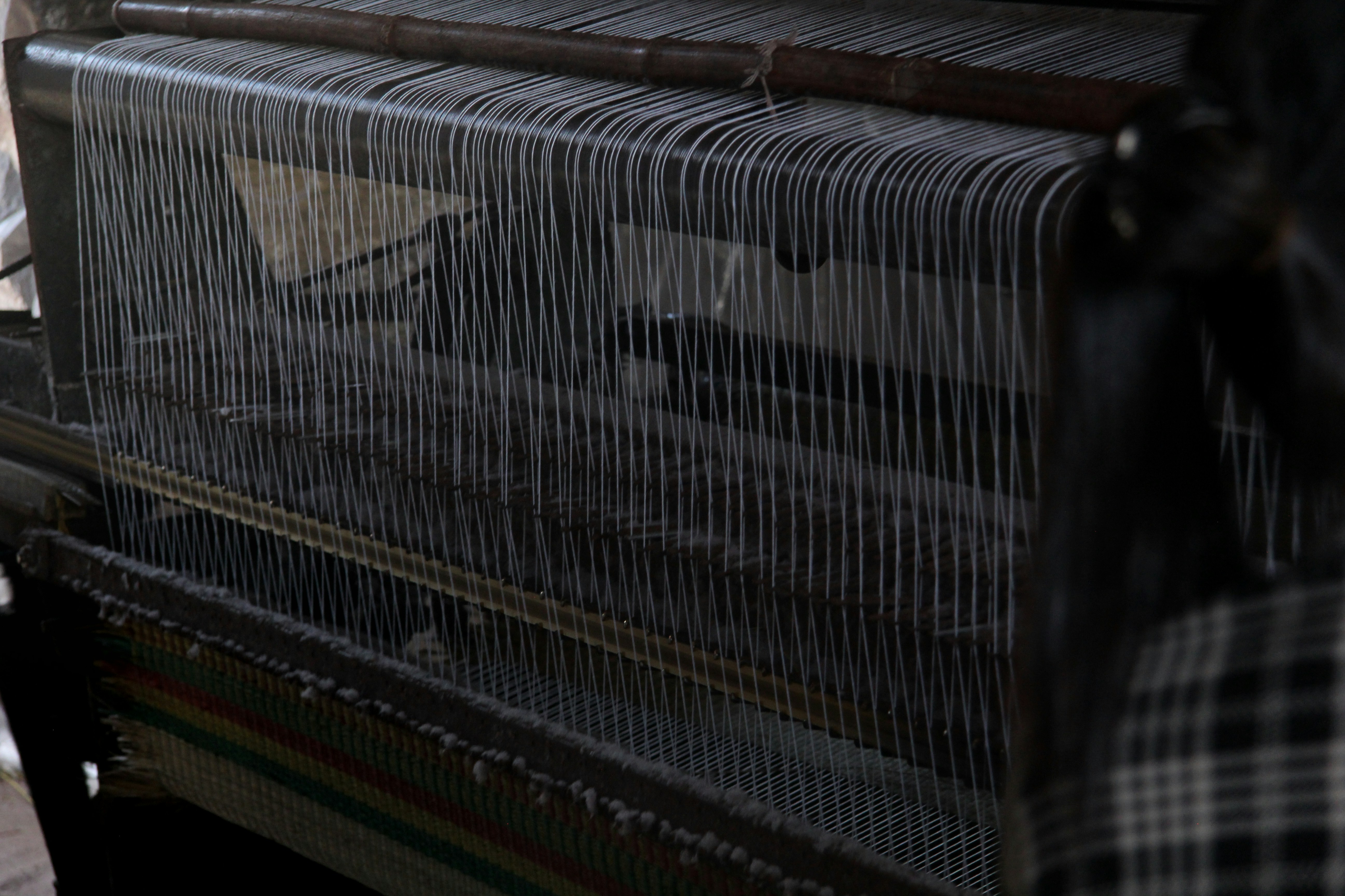 Close-up of a loom with many threads