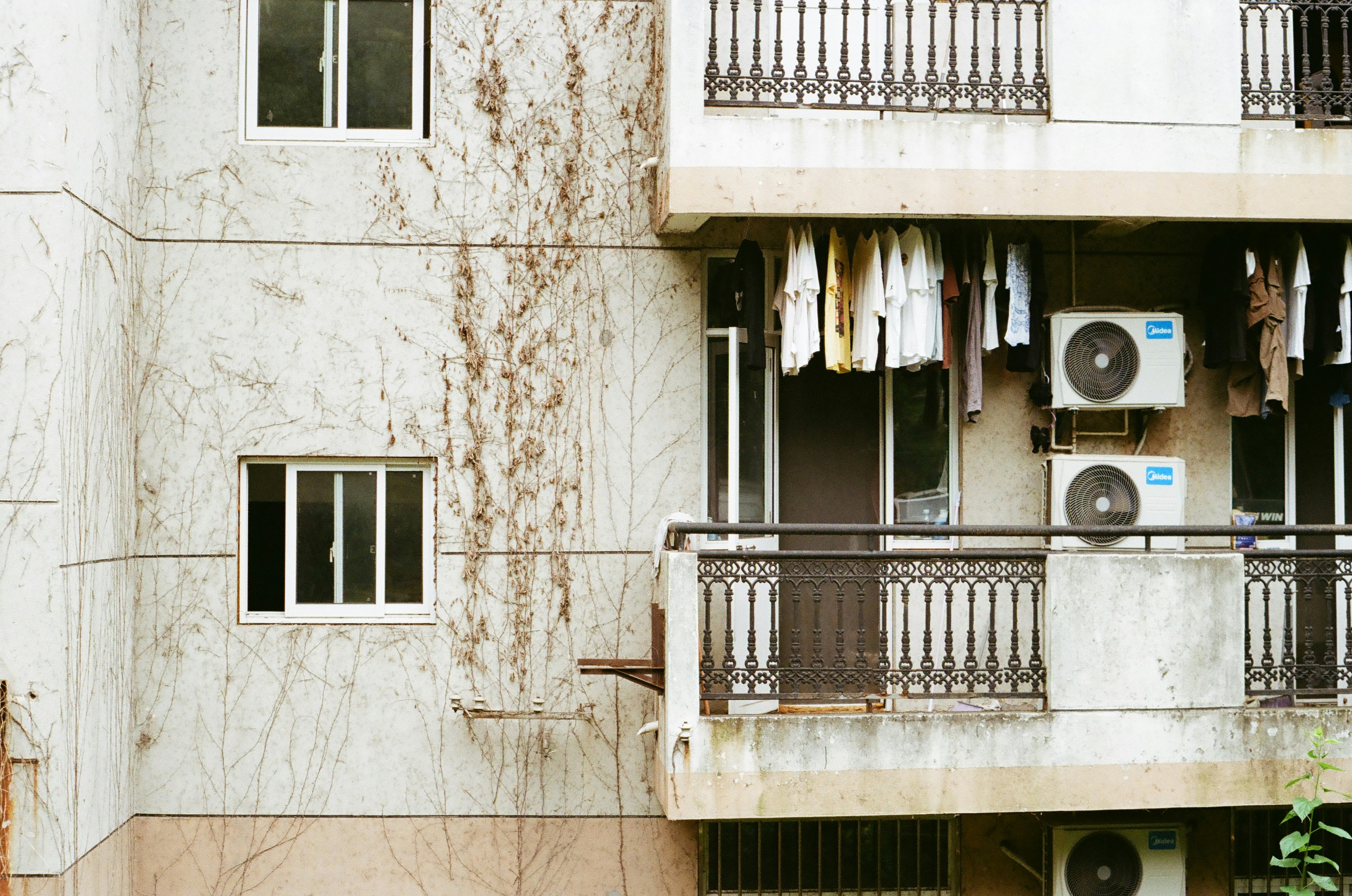 주택 누수 보험