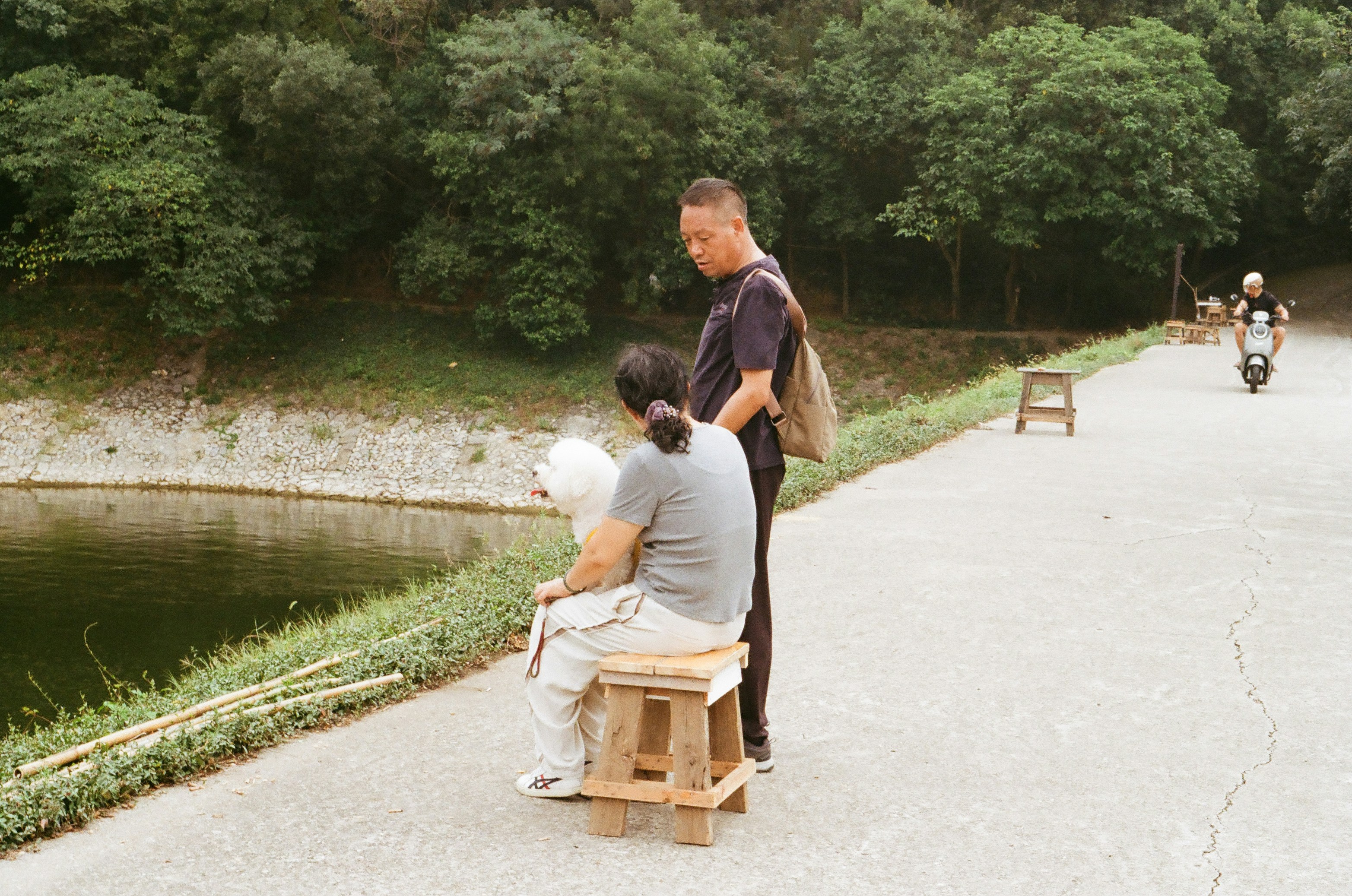 A couple sitting on a park bench under a large tree, looking together at a digital tablet which displays a modern real estate listing with a clear price tag