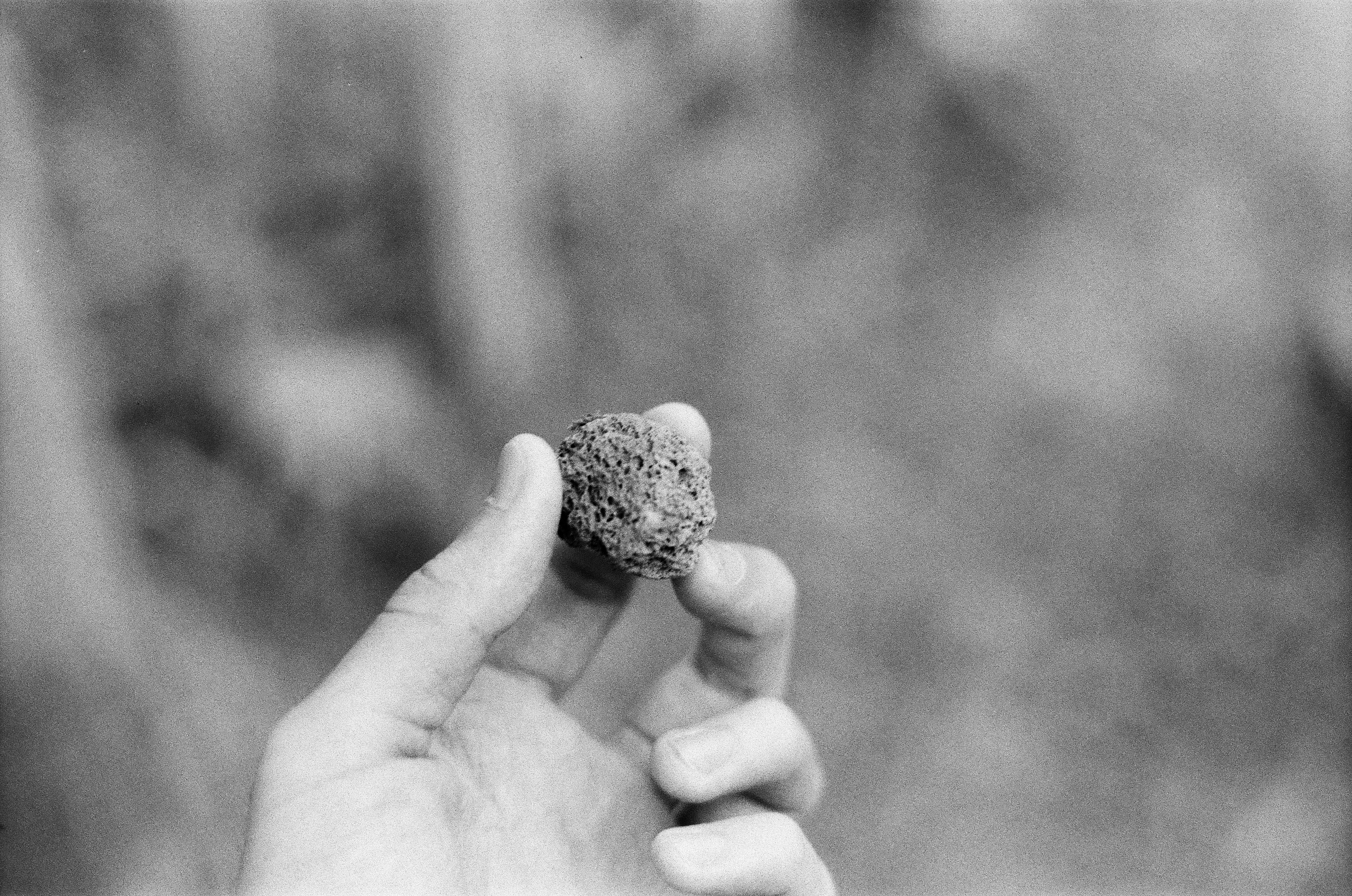 A hand holds a small, textured object outdoors.
