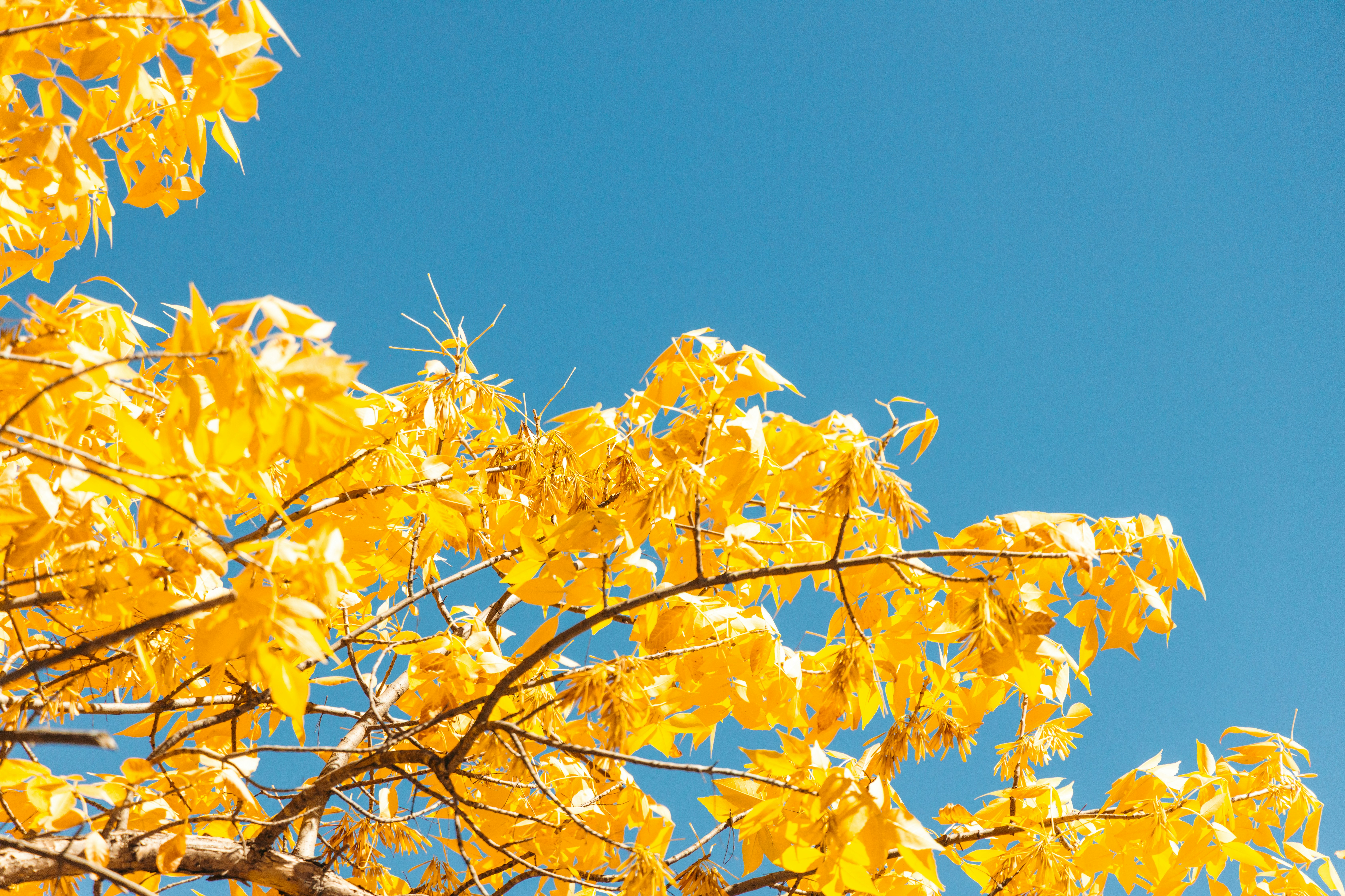 Photo by ldpeterson11