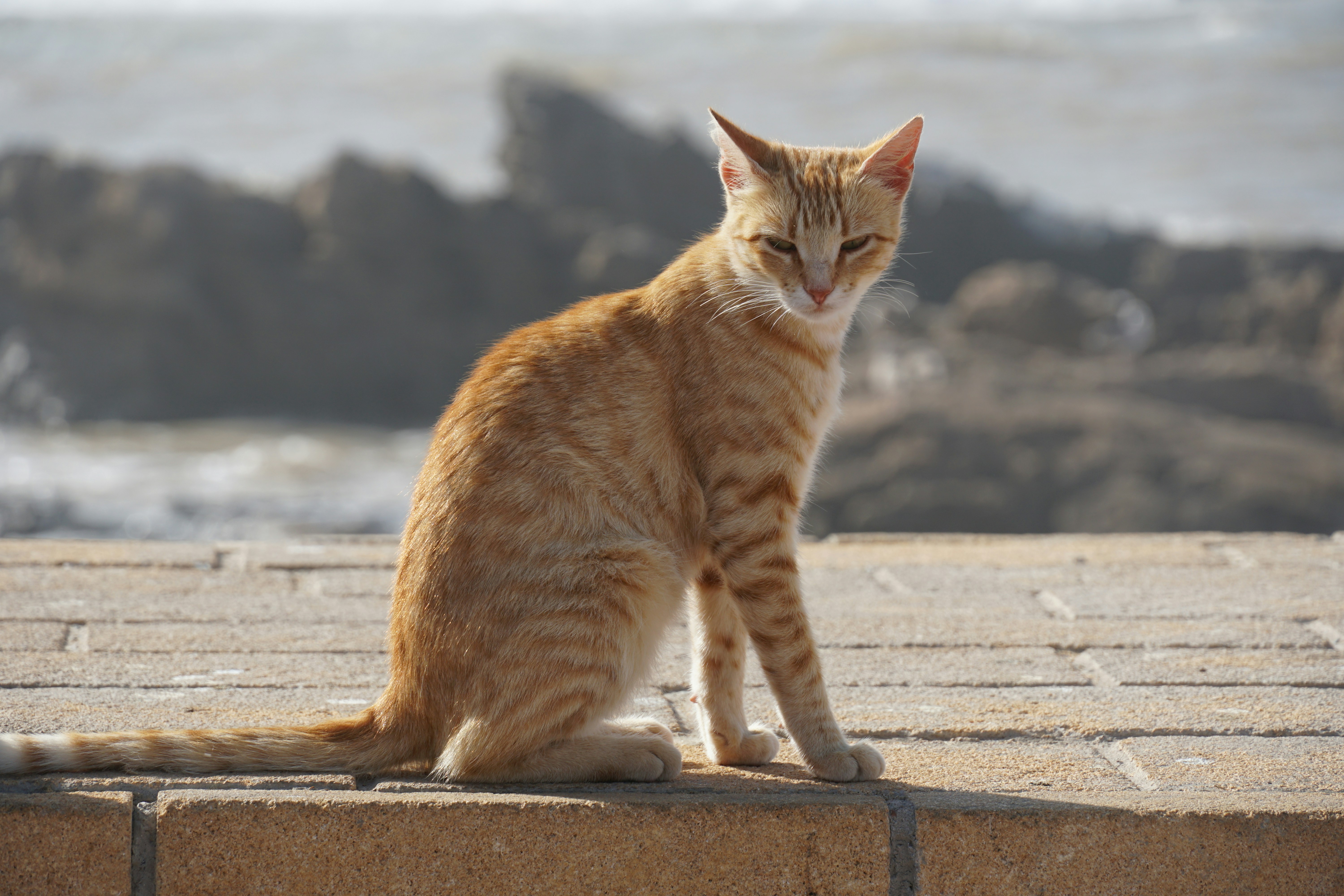 Photo by qld_traveller