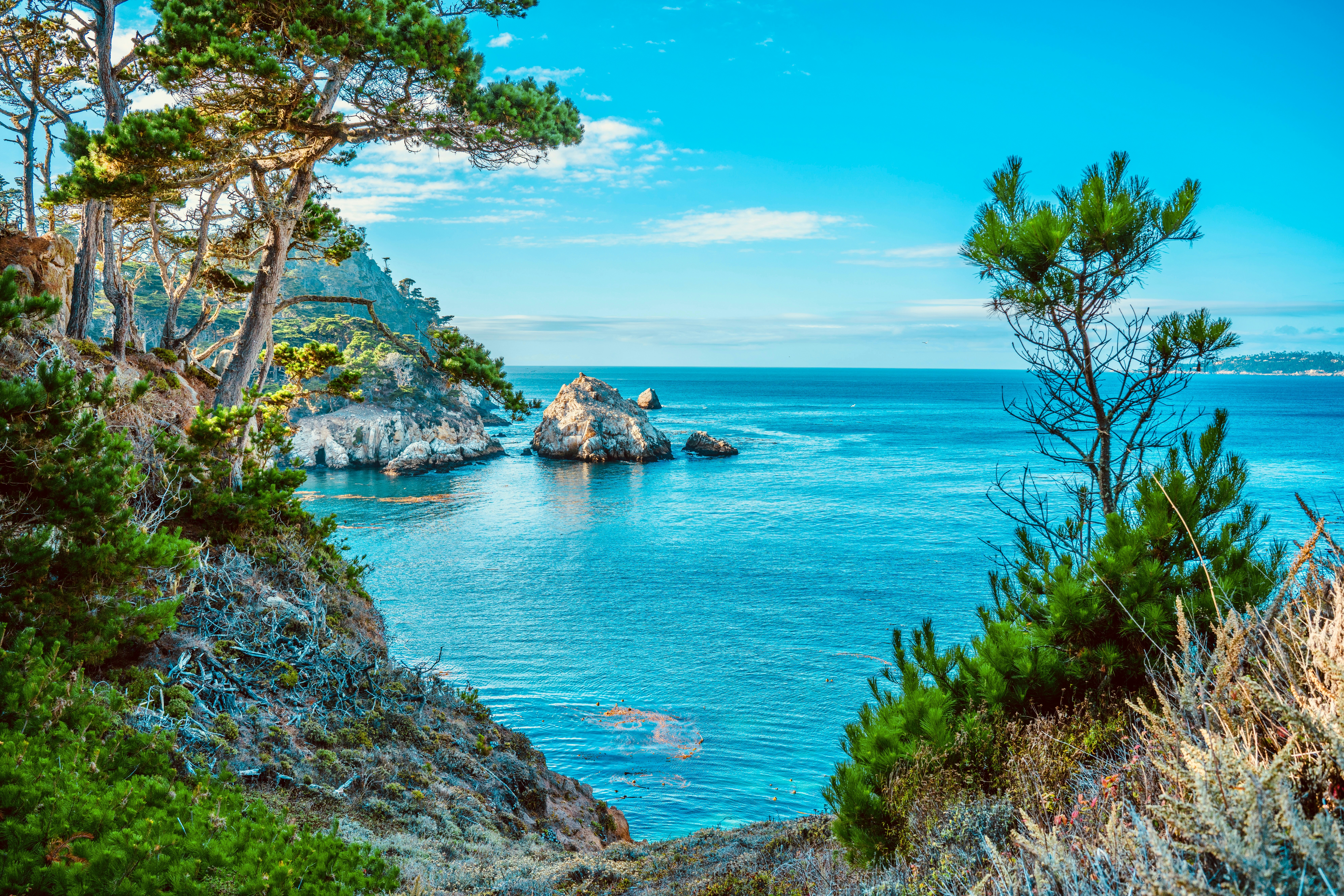 Photo by bingusworld