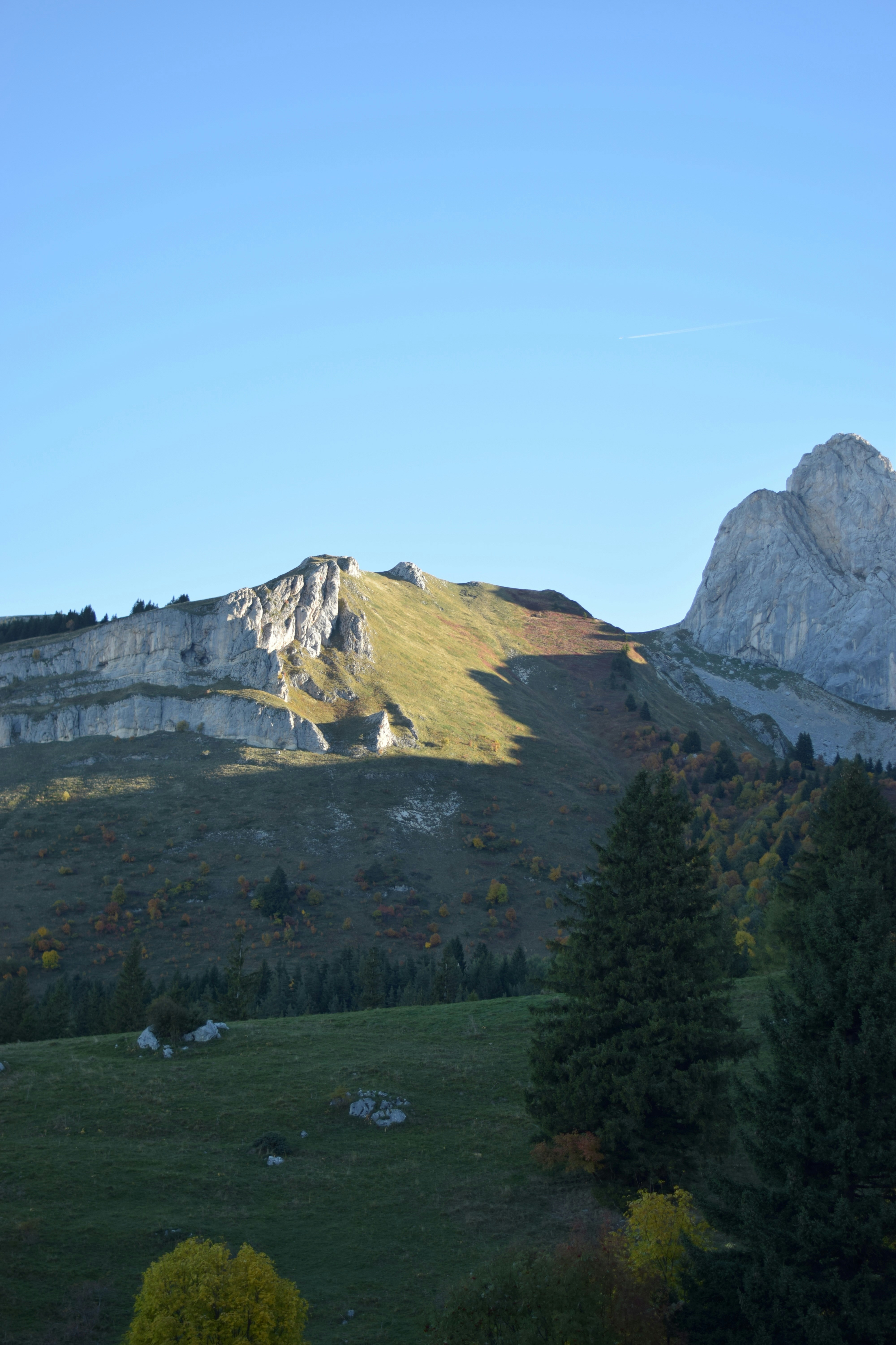 나무와 푸른 하늘이 있는 햇볕이 내리쬐는 산맥