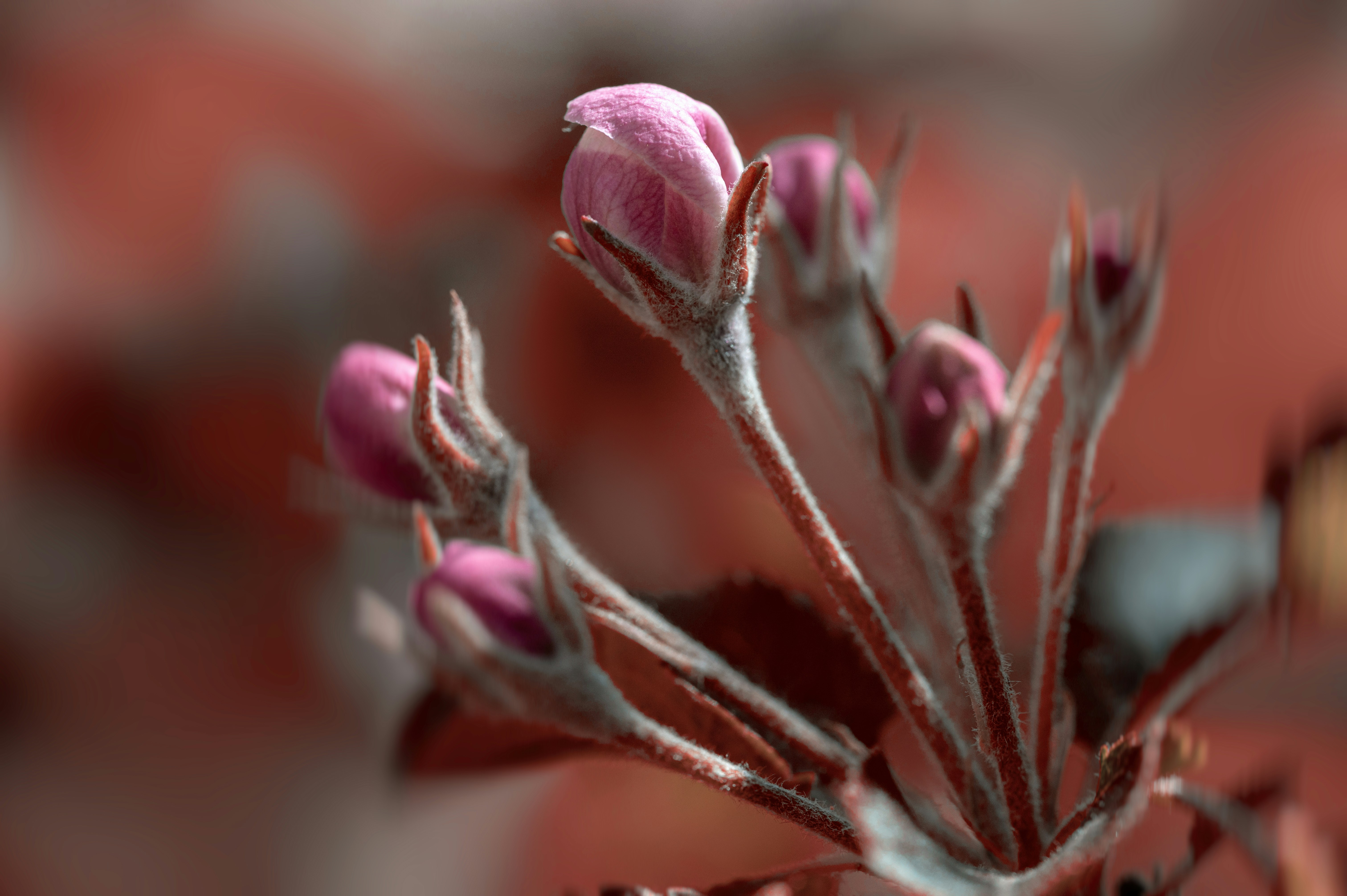 Photo by volodymyr_leush