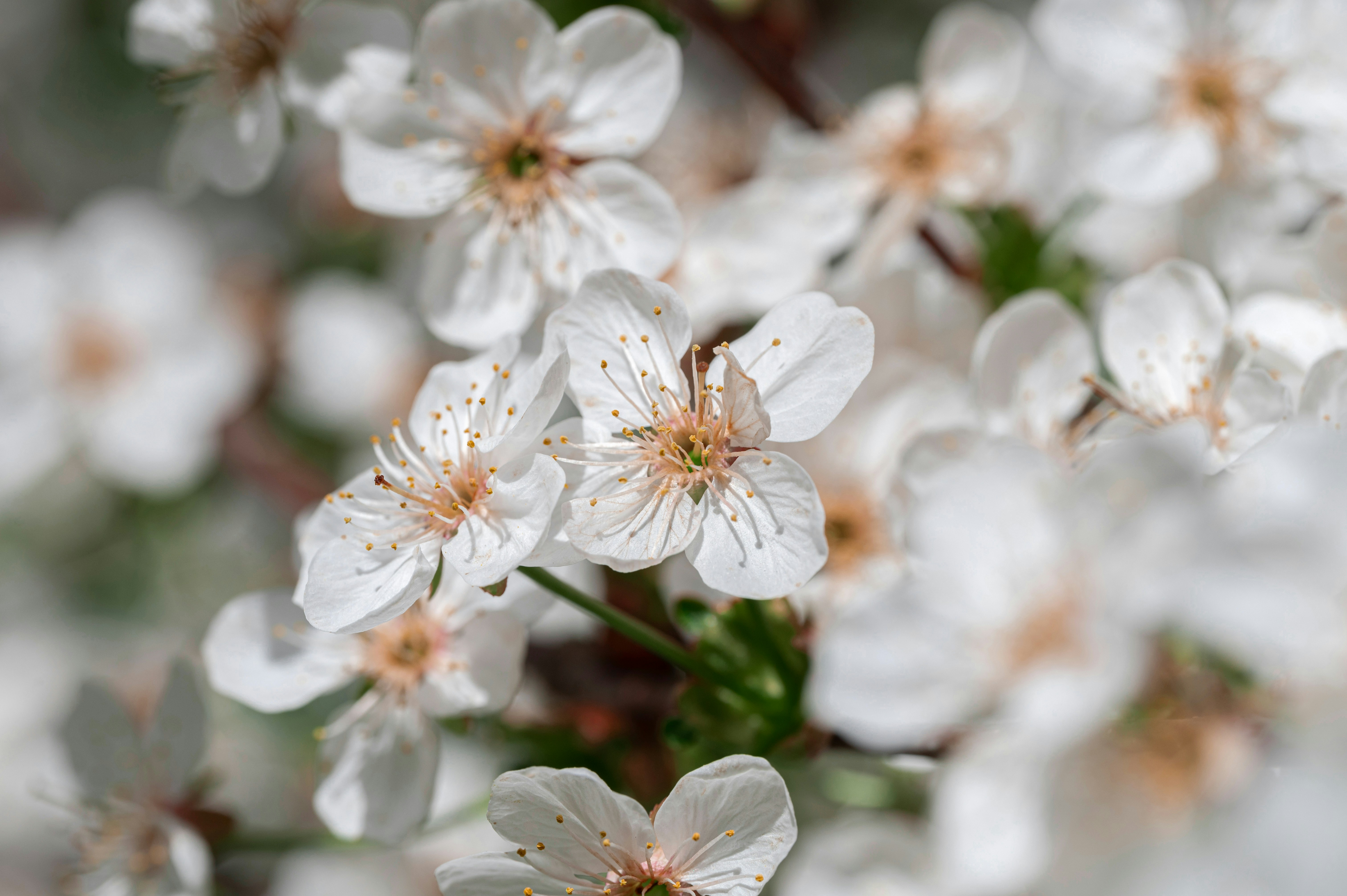 Photo by volodymyr_leush