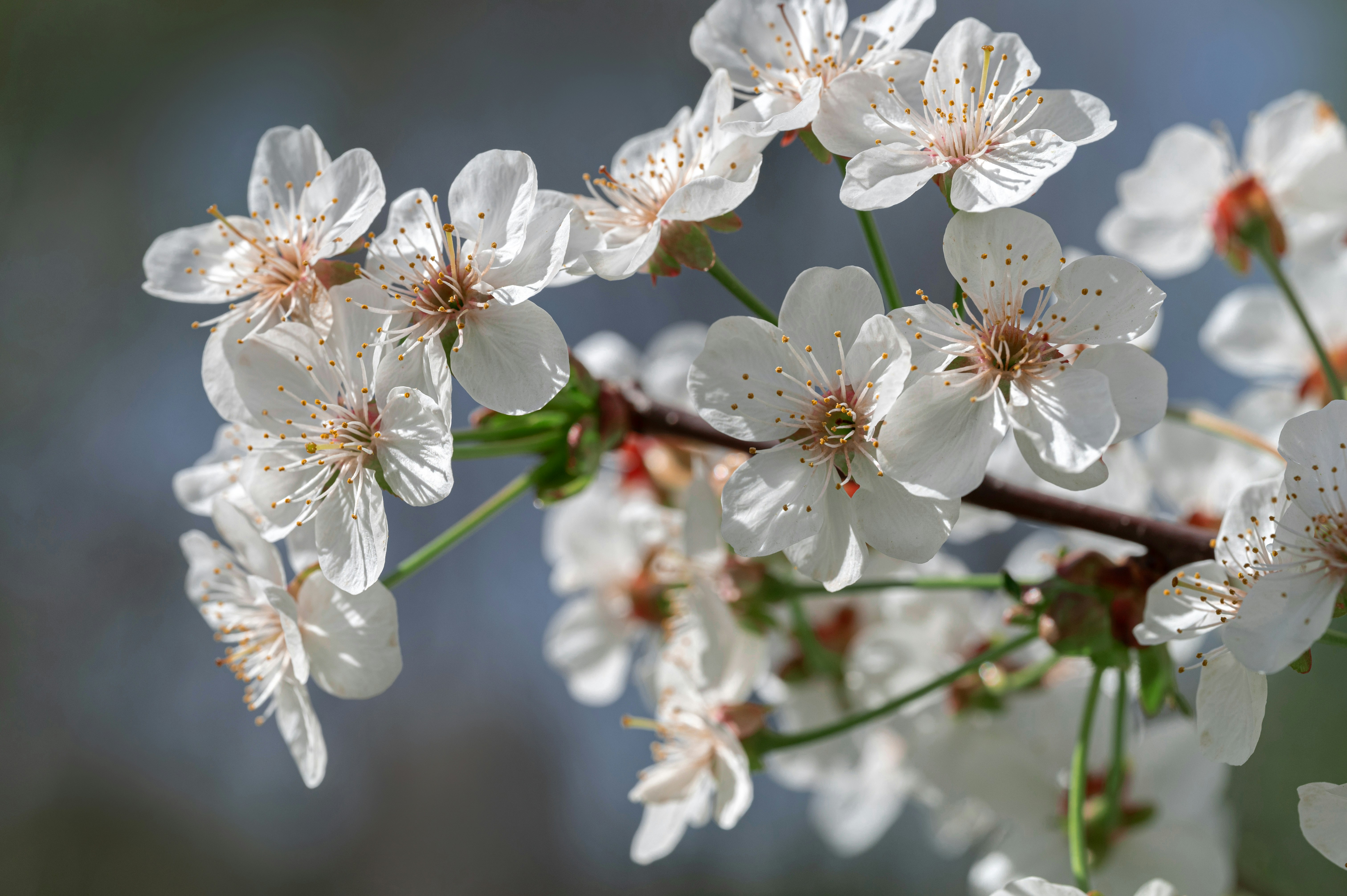 Photo by volodymyr_leush