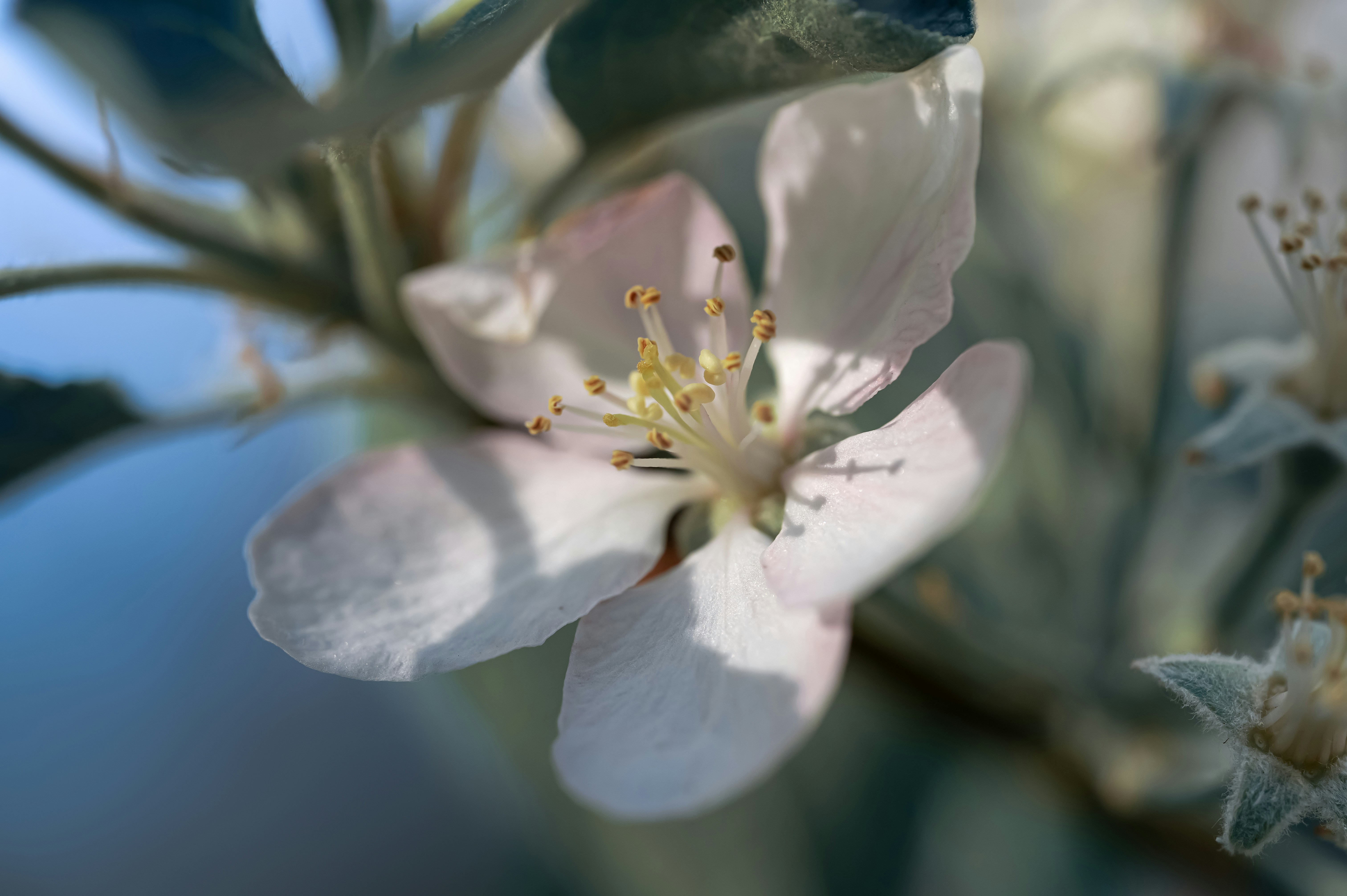 Photo by volodymyr_leush