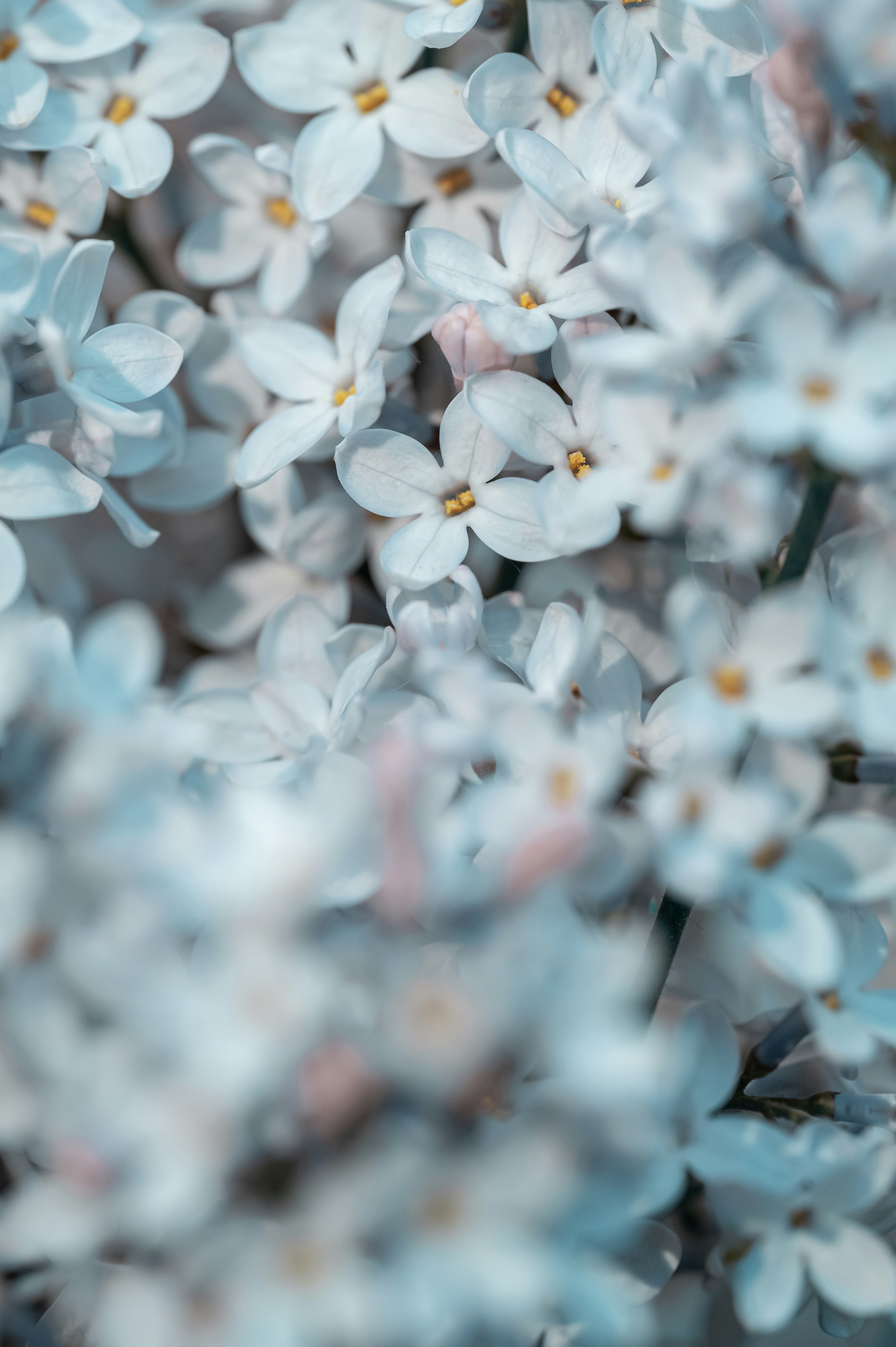 Photo by volodymyr_leush