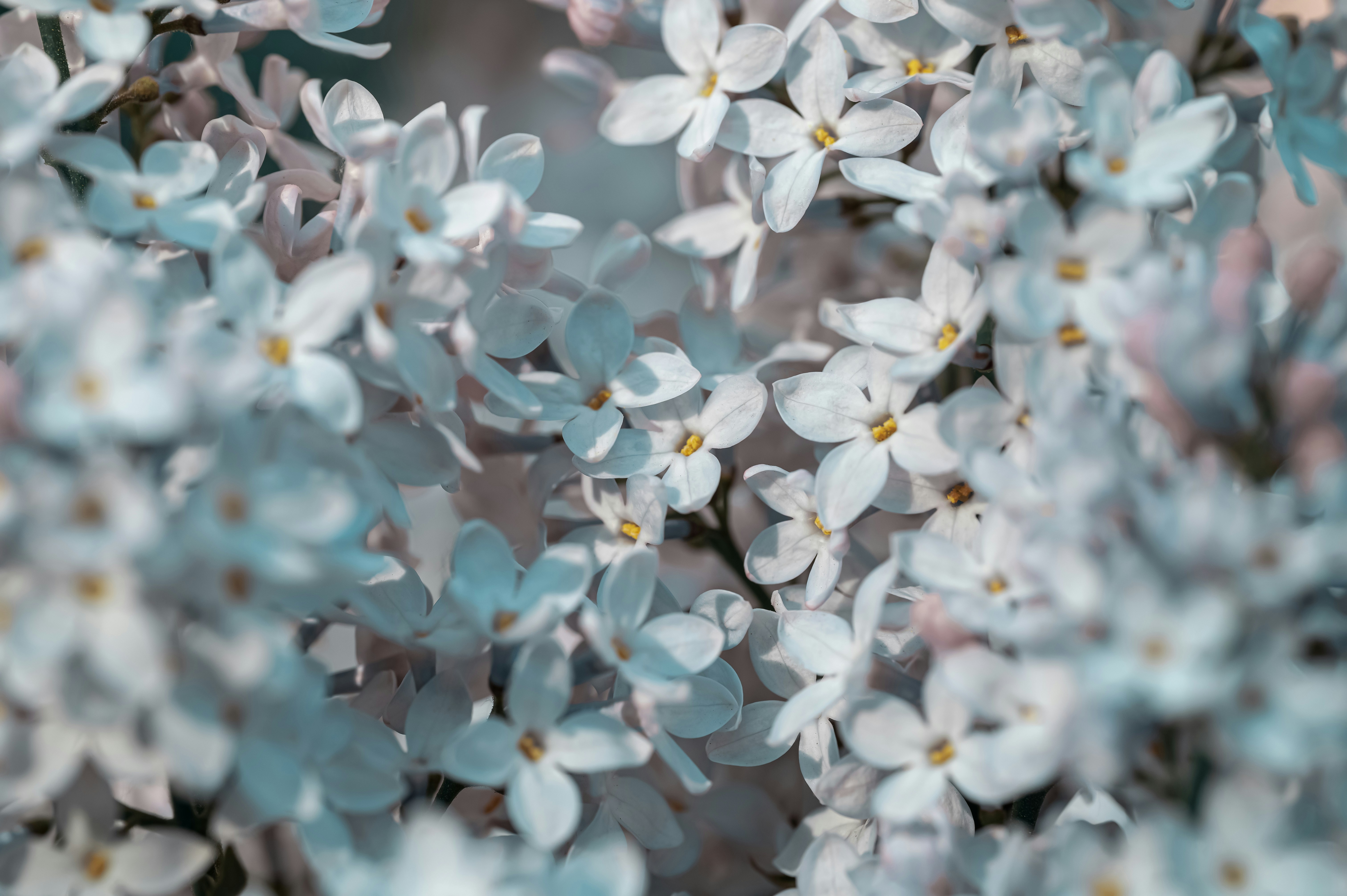 Photo by volodymyr_leush