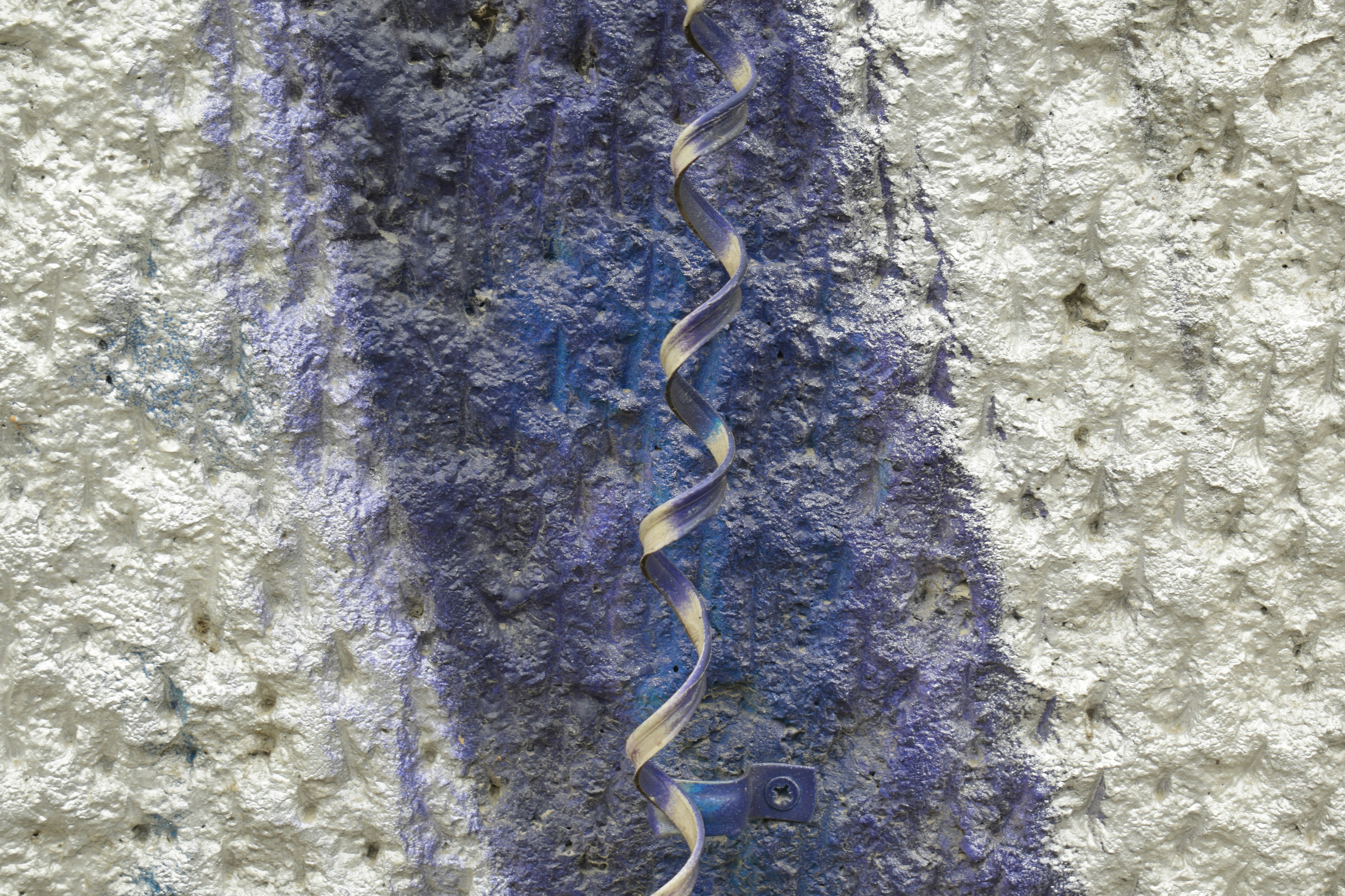 A close-up of a textured wall with purple flowers.