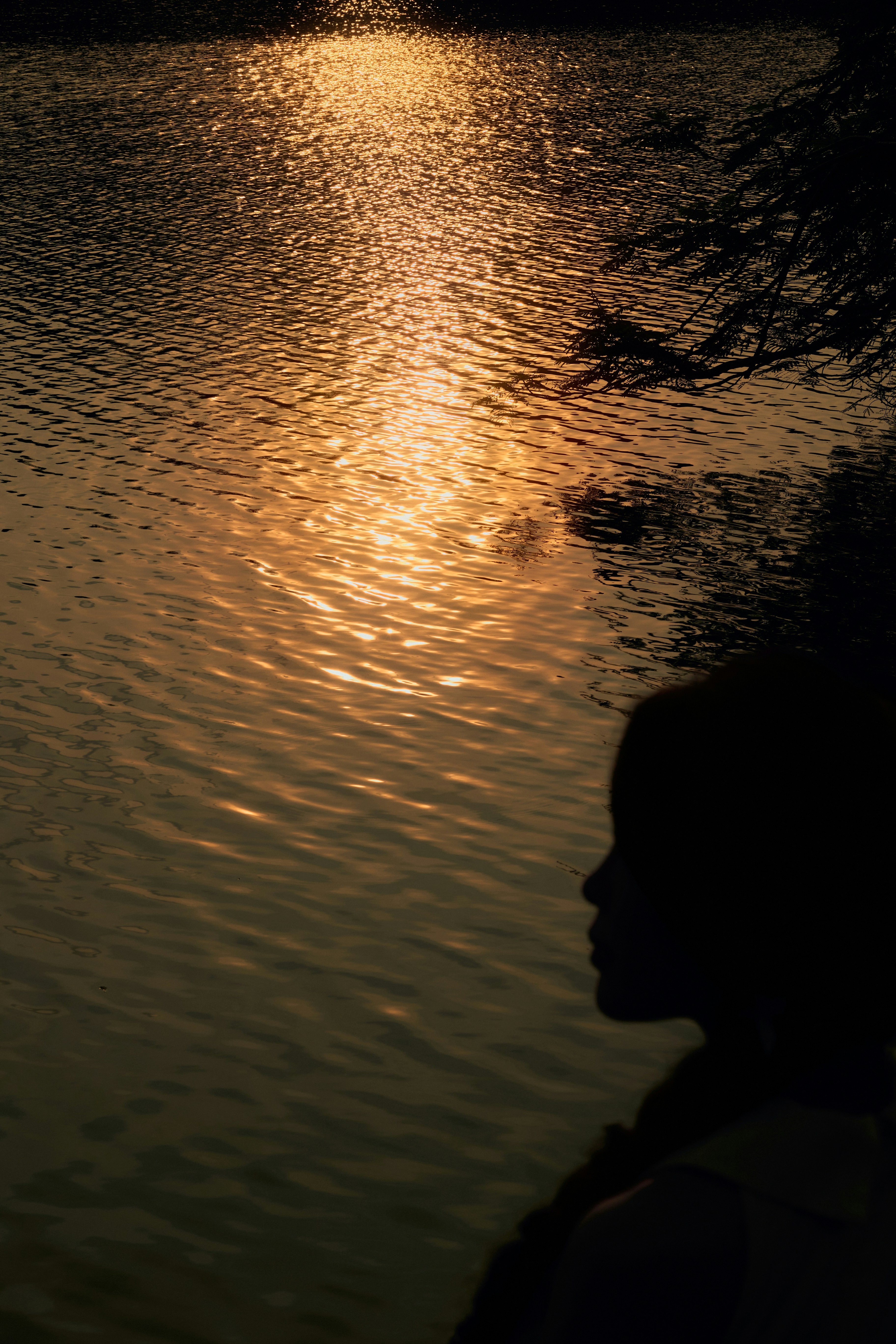 Photo by hieuanhcauam