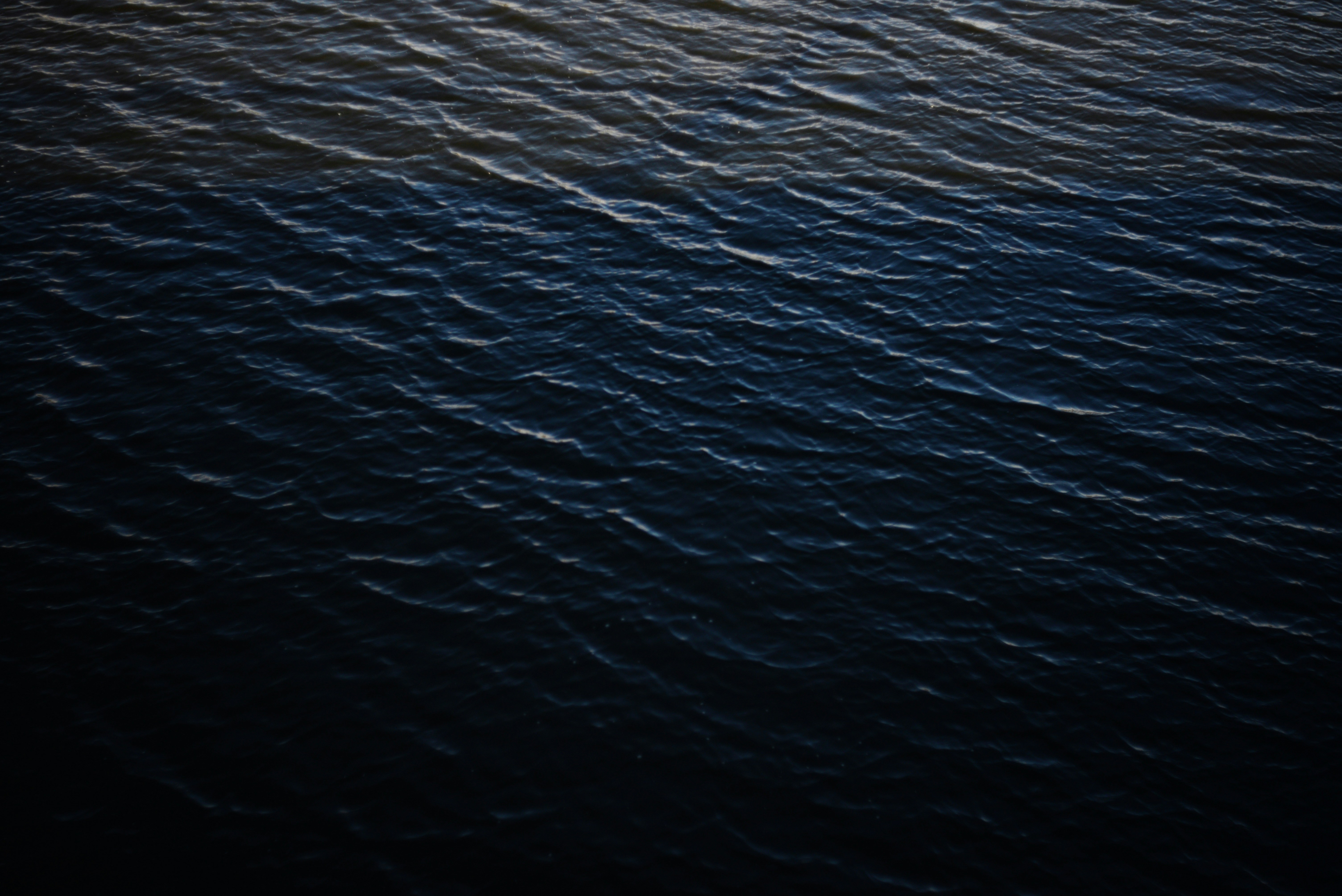 Photo by cherstve_pechivo