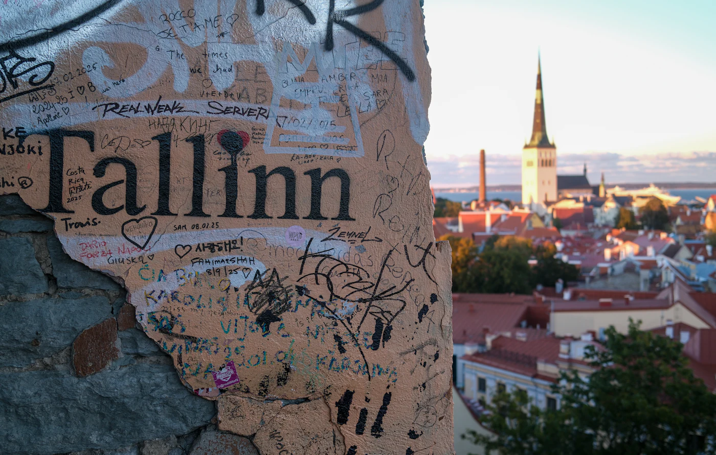 Blick vom Domberg Toompea über die Dächer der Tallinner Unterstadt