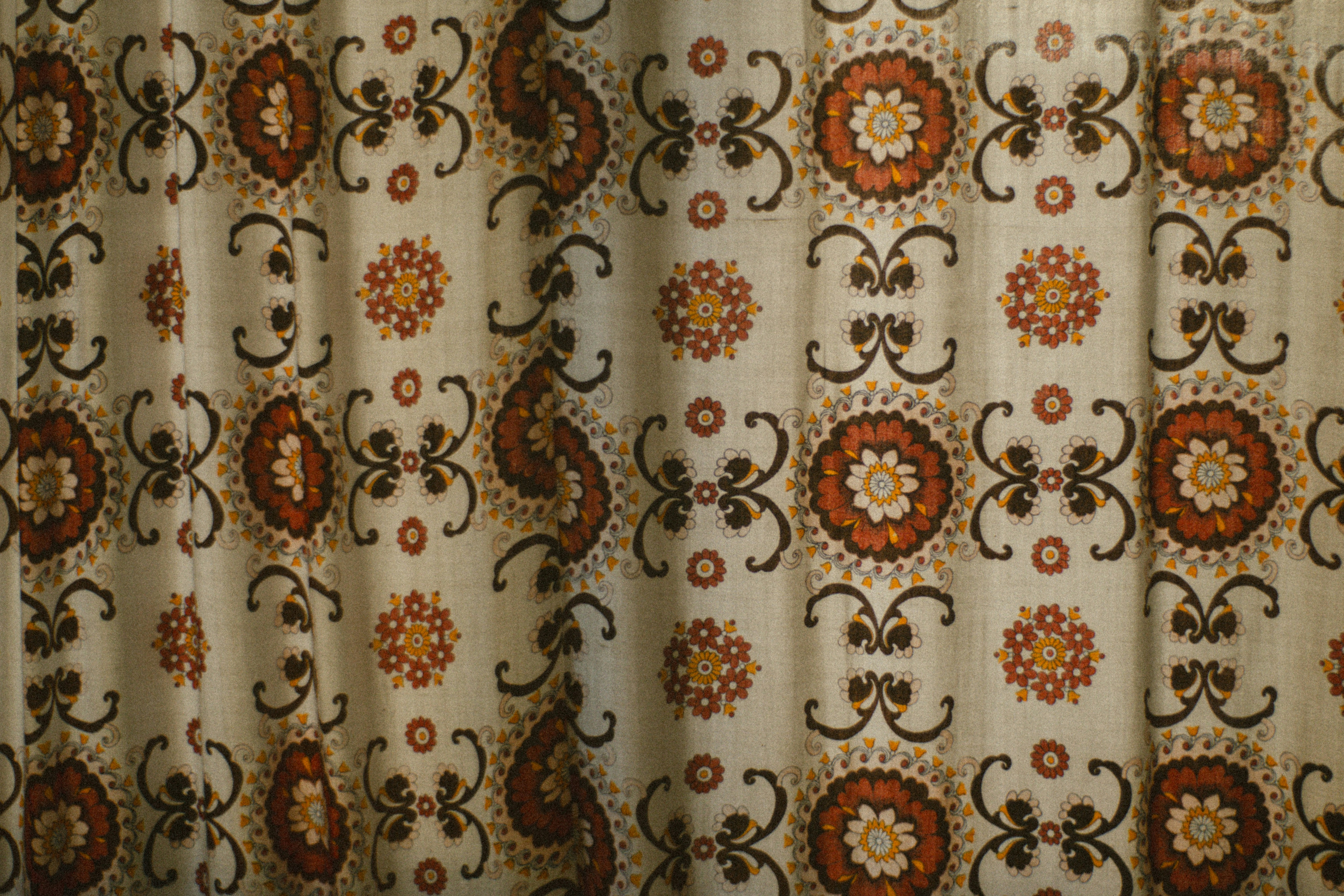 Photo by mdrezajalali